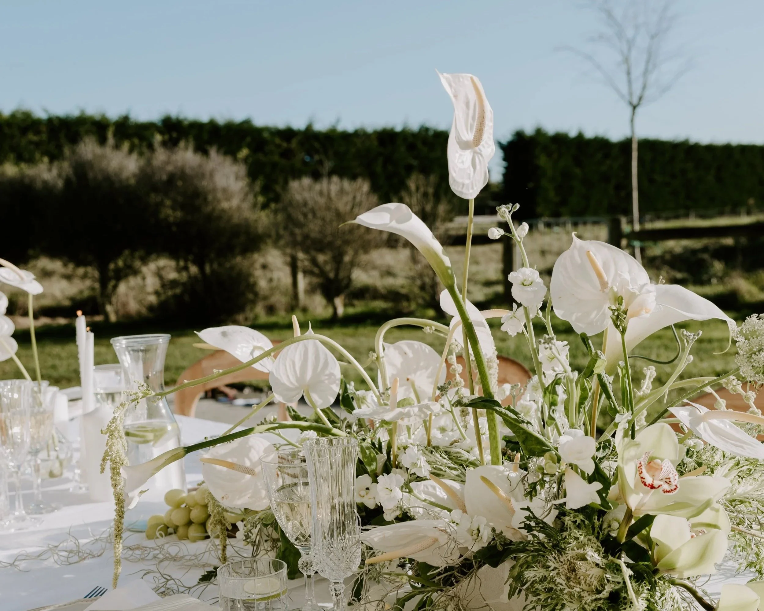 A table decorated with white flowers and glassware outdoors on a sunny day.