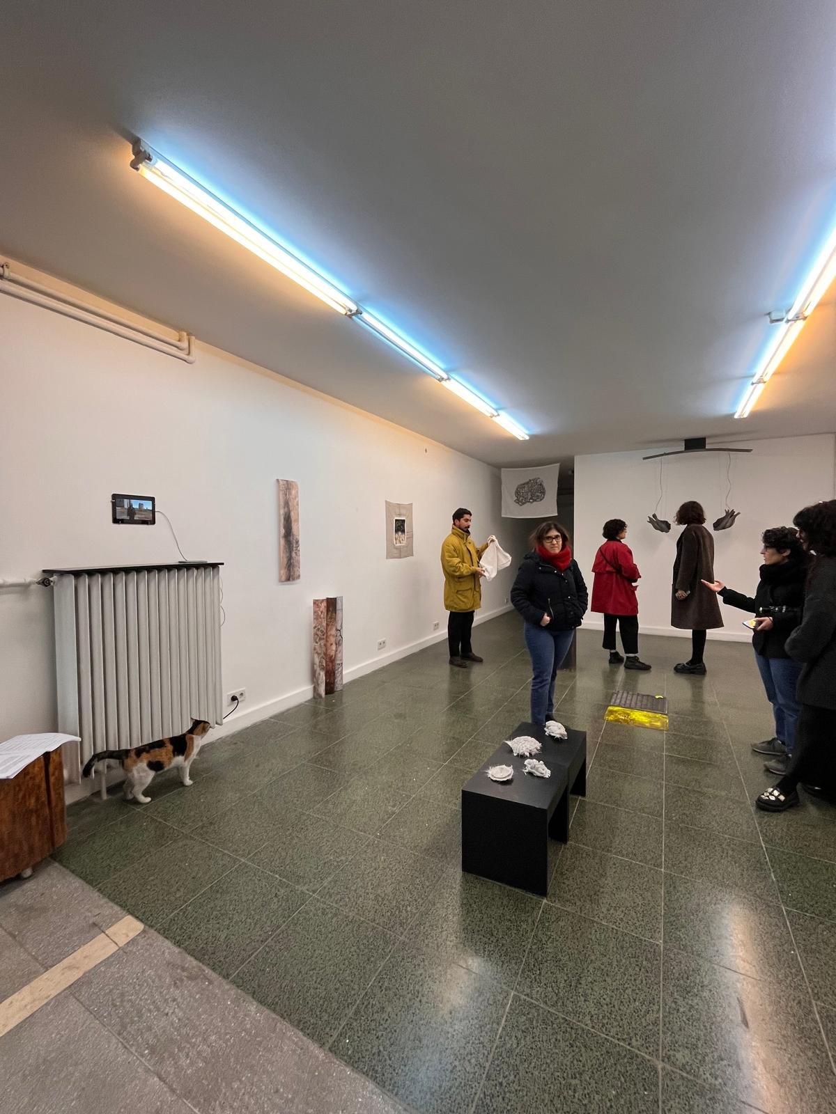 PHOTO-2024-12-24-22-26-32 2.jpg