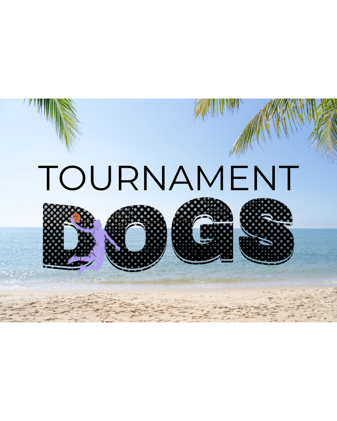 (Optional) 15U–17U BOYS AND GIRLS: Sunball Classic Experience Tournament | AND1 Connect League
