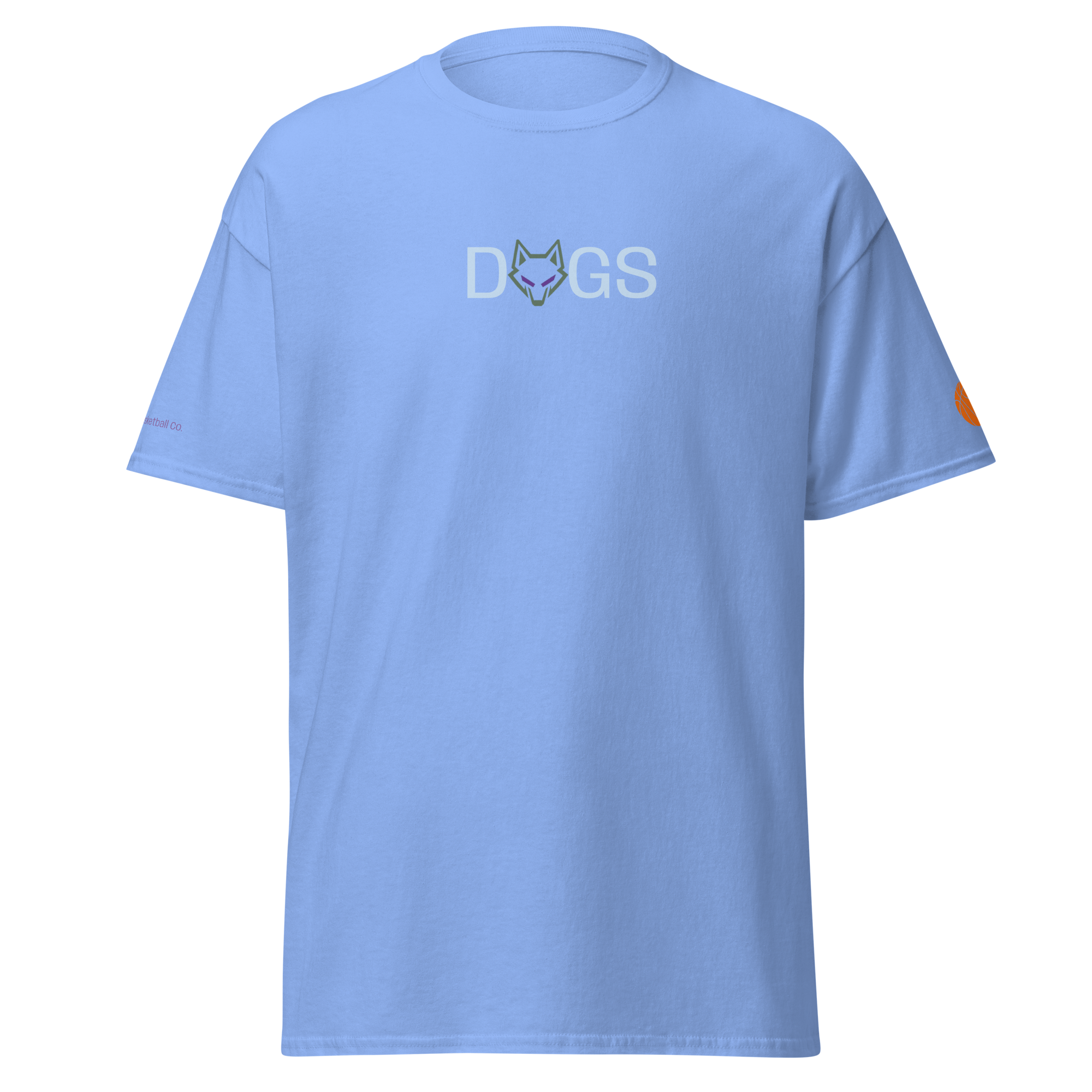 unisex-classic-tee-carolina-blue-front-6950373798a1f.png