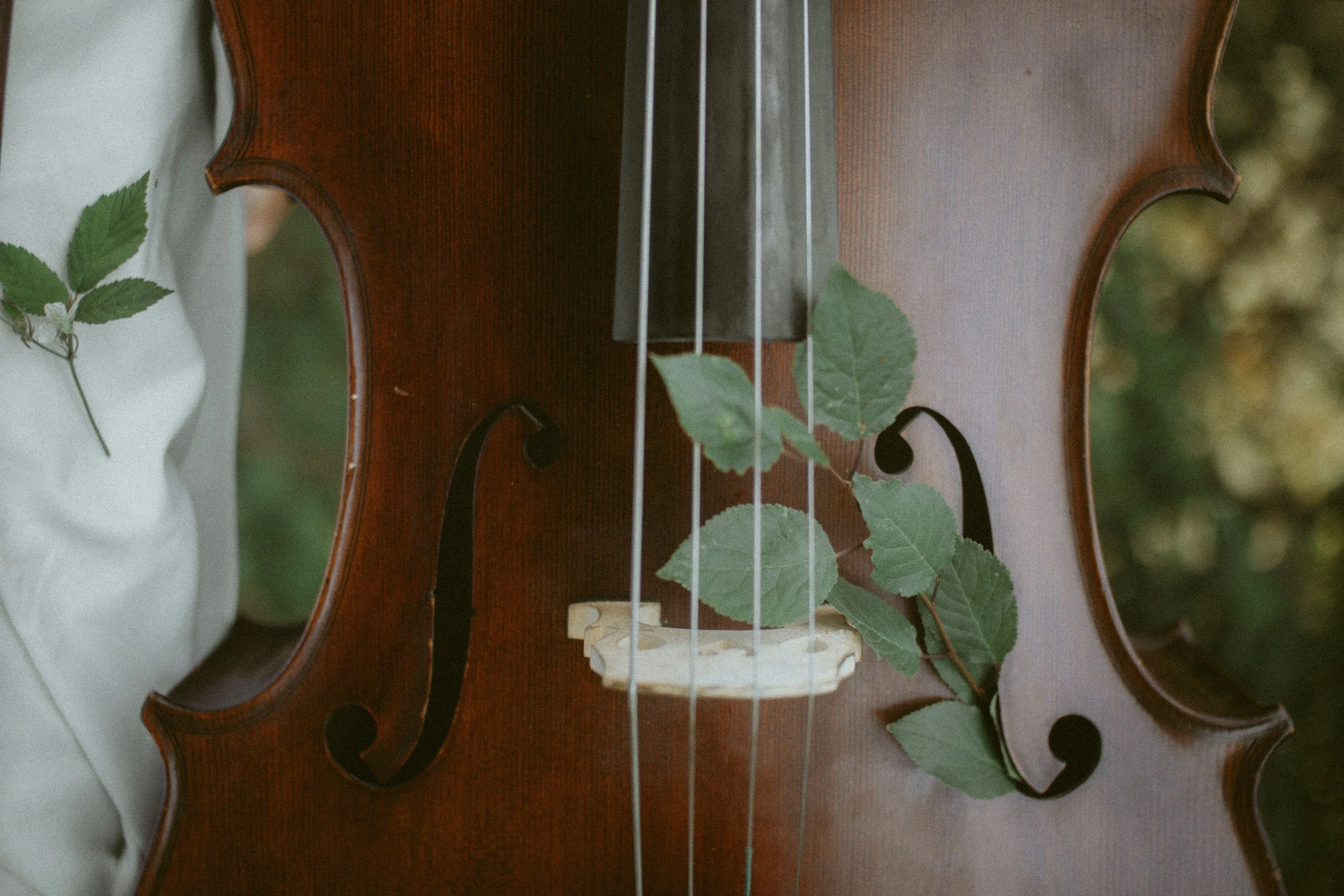 A close-up of a violin decorated with green leaves, displayed outdoors against a blurred natural background.