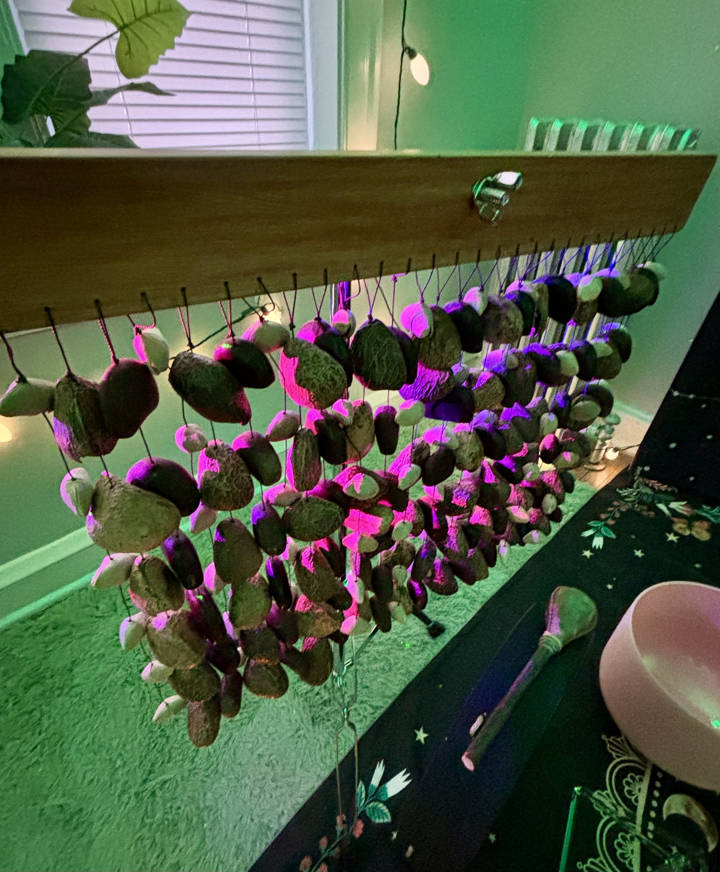 A string of rocks hanging on hooks against a wall, illuminated by purple and green lighting, with a plant and window in the background and a table with a bowl and a mallet in the foreground.
