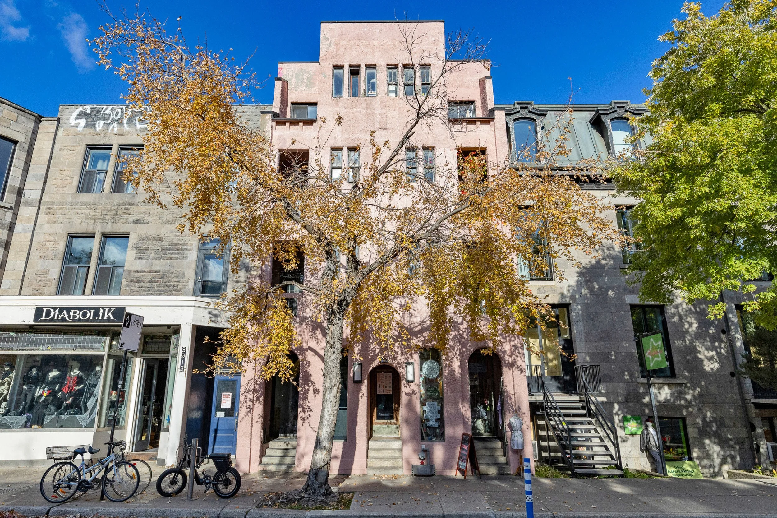 The image shows a city street with a pink building in the center, flanked by a gray building on the left and a darker building on the right. In front of the pink building, there is a leafless tree with some yellow and green foliage on neighboring trees. A bicycle and a motorcycle are parked at the curb. The sky is clear and blue, indicating a sunny day.