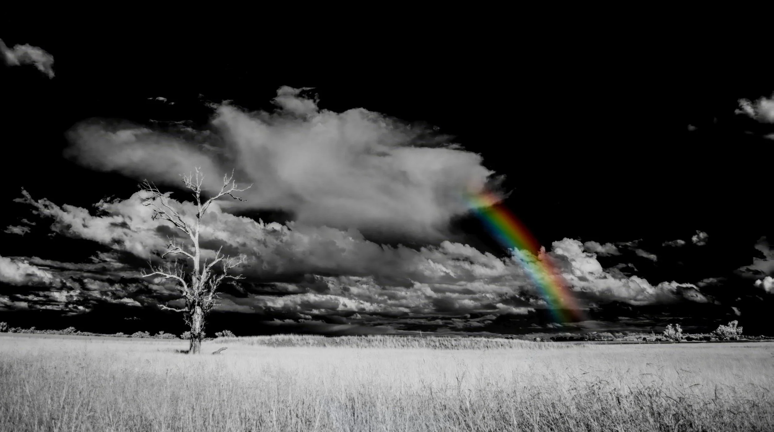 Rainbow_DSC_7804.jpg