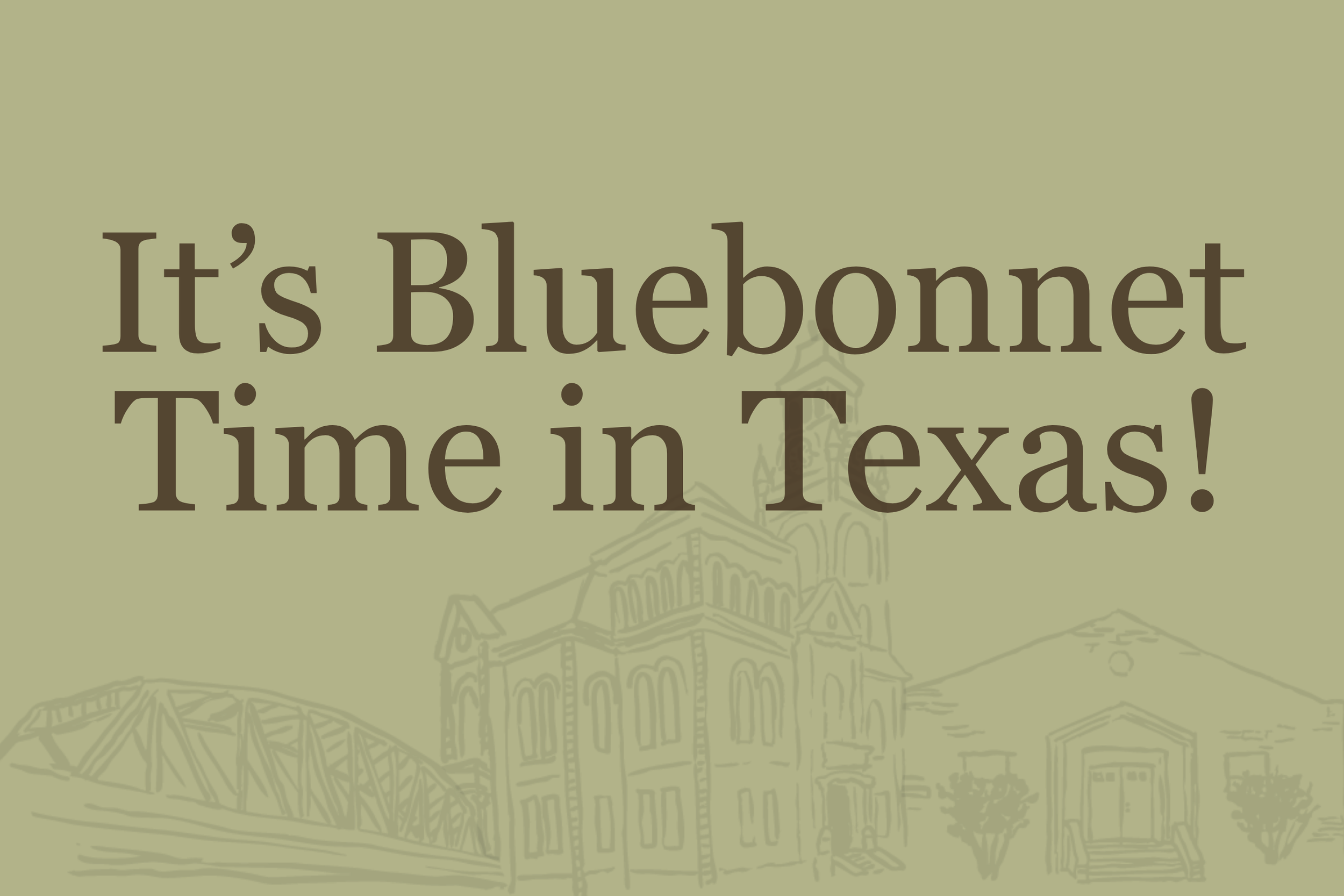 It’s Bluebonnet Time in Texas!
