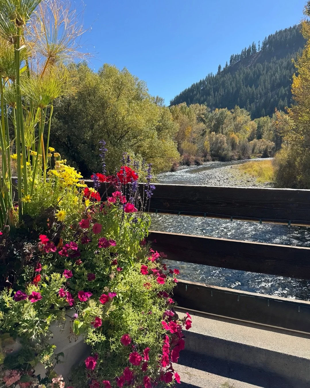 Enjoying the beautiful scenery in Sun Valley while at the Idaho Realtor Convention