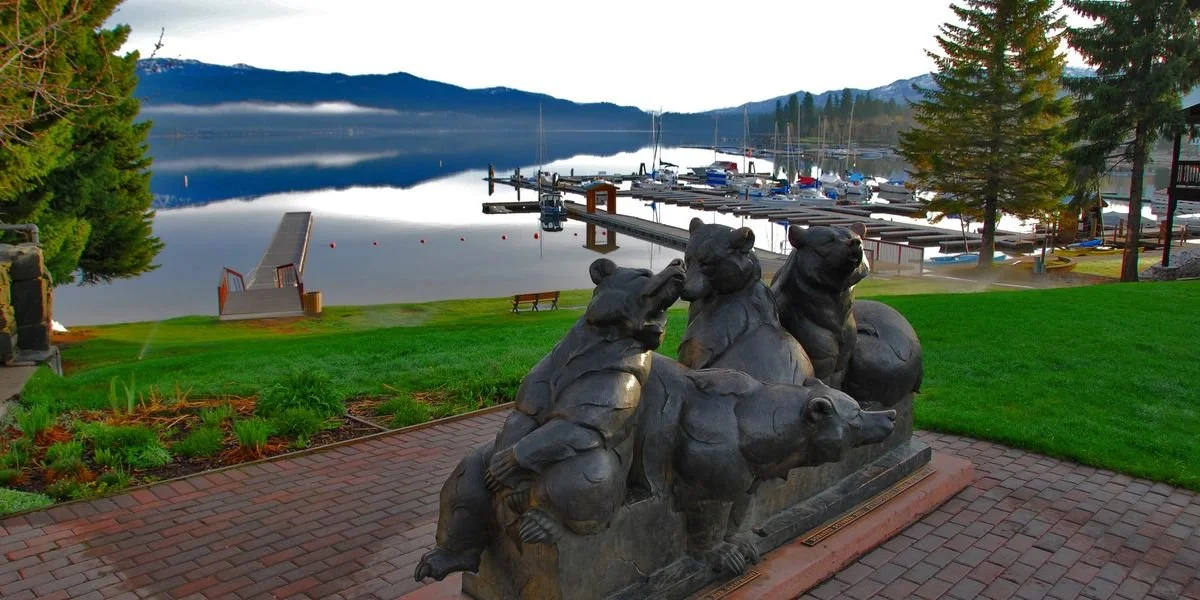 Commercial, Residential, and Rentals