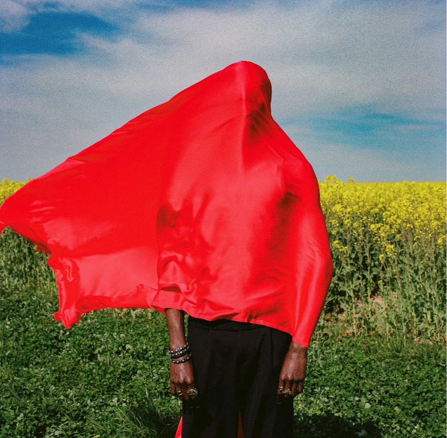 Person with a large red fabric draped over their head, standing outdoors in a field of green plants and yellow flowers under a blue sky.
