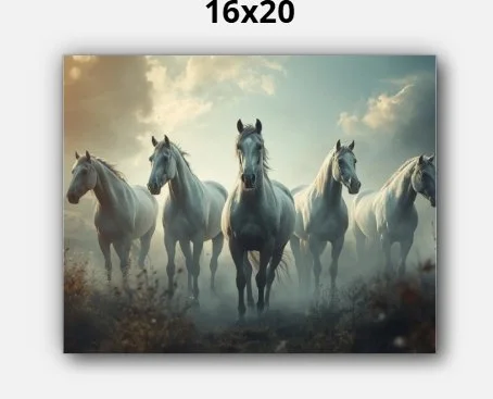 hourses out running.jpeg