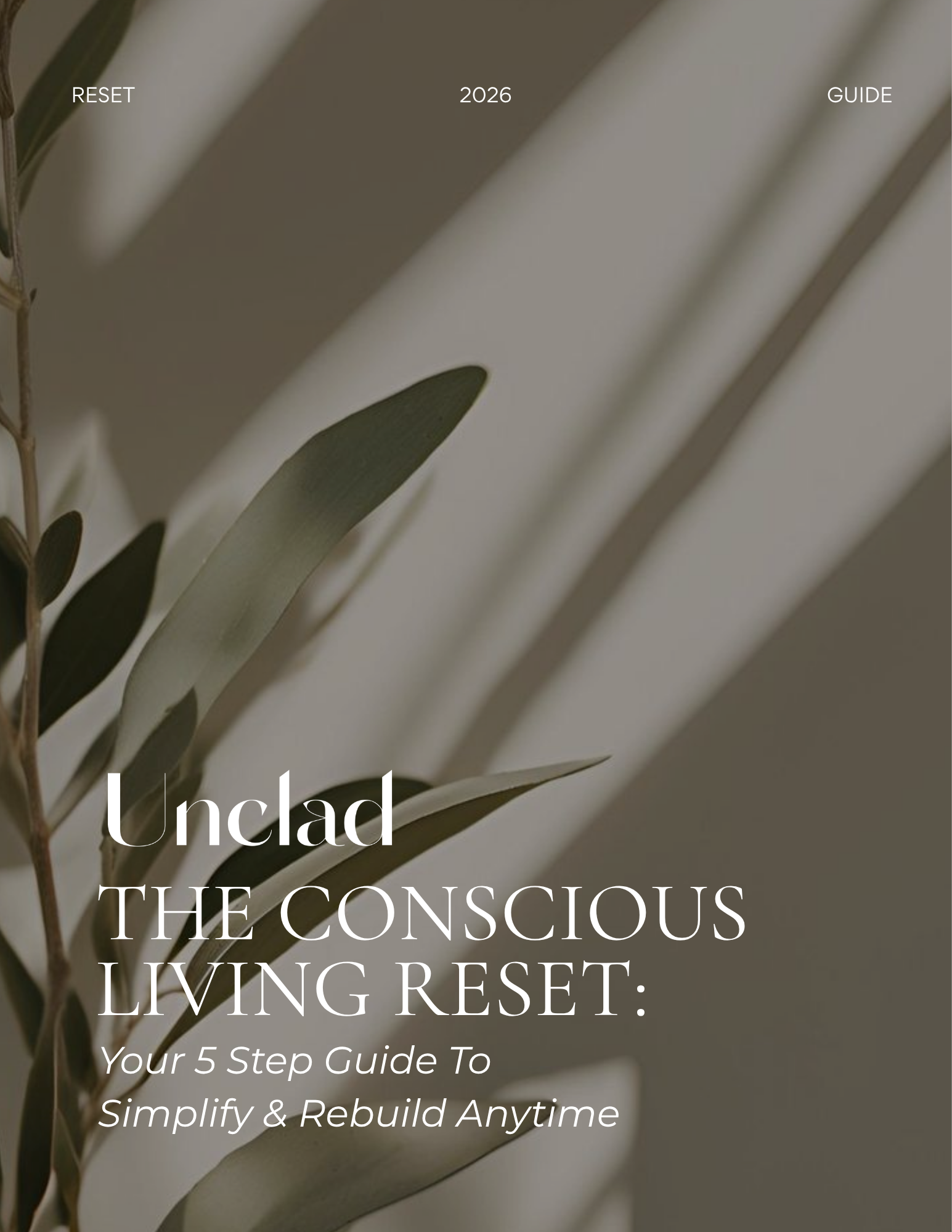 The Conscious Living Reset