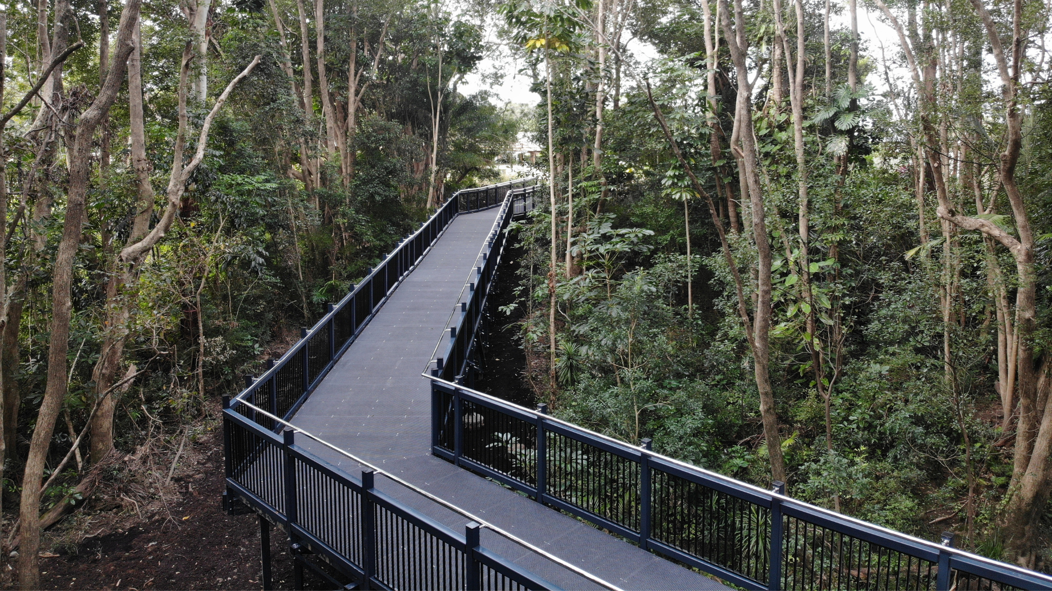 Dalgety Bridge Replacement