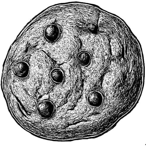 Cookie Graphic.png (Copy)