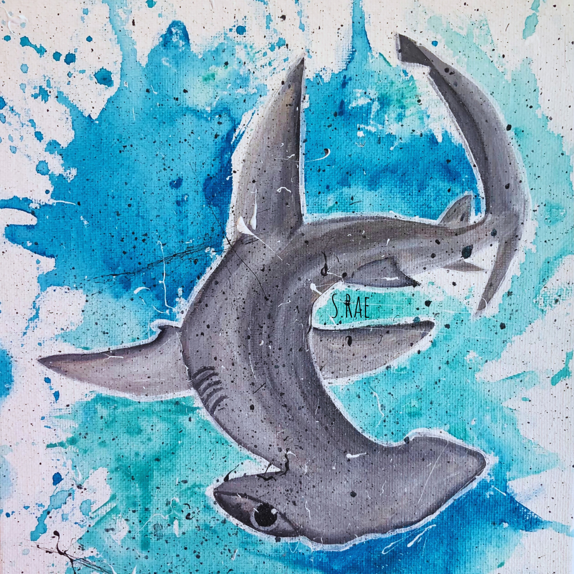 SharkieShell (1).png