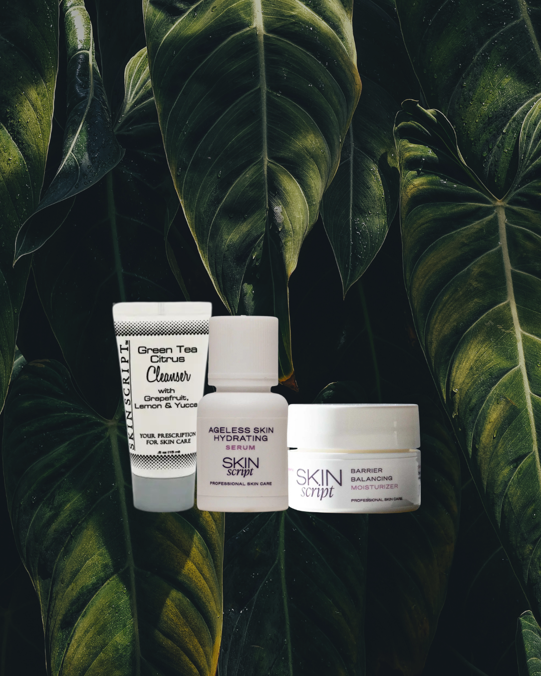 Mini Skin Routine Sample Set