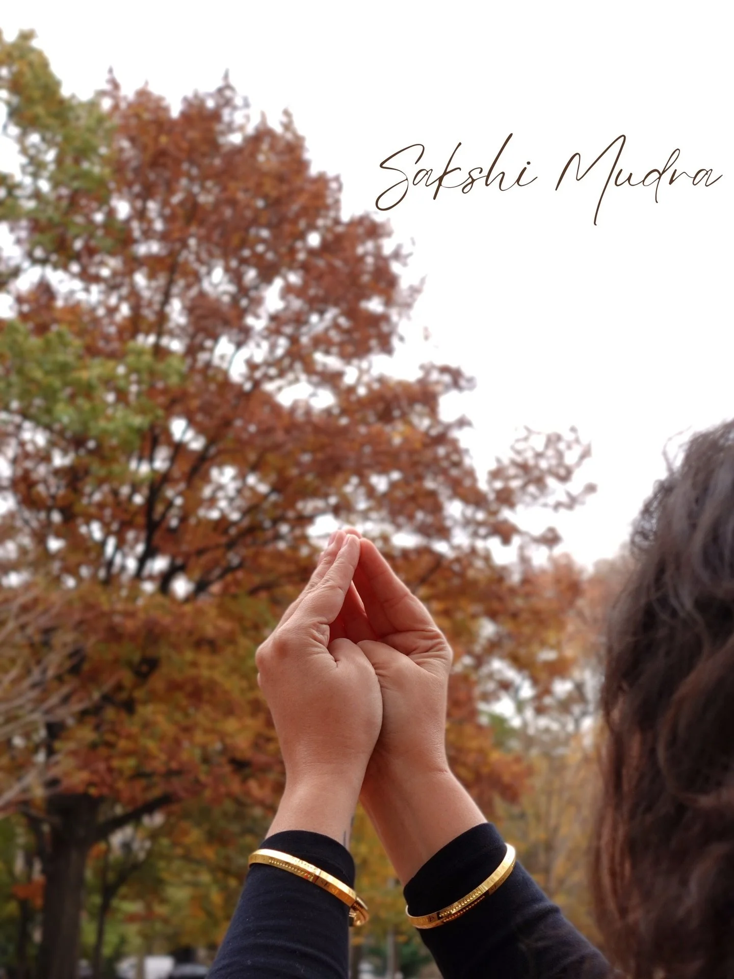 &iquest;Y si en lugar de reaccionar&hellip; eliges observar?
Este gesto ancestral te devuelve a la presencia.

Sakshi Mudra es una pr&aacute;ctica de meditaci&oacute;n consciente que nos invita a habitar el rol del testigo: observar pensamientos, emo