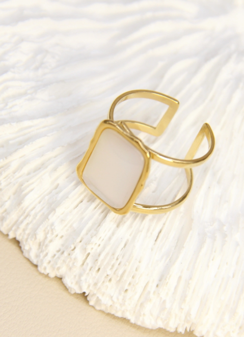 Capture d'écran 2026-01-10 024652.png