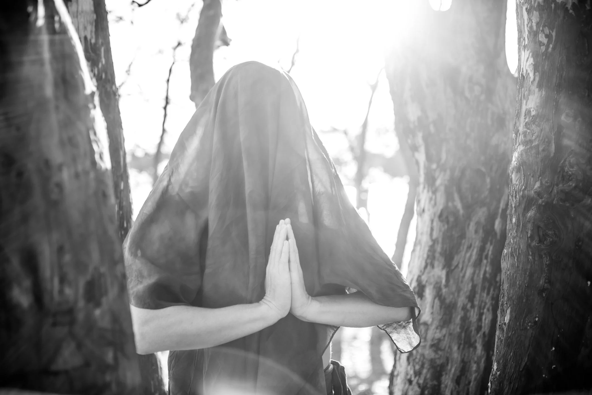 A person practicing yoga or meditation outdoors between two trees, with hands pressed together in a prayer position, back facing the camera, in bright sunlight.