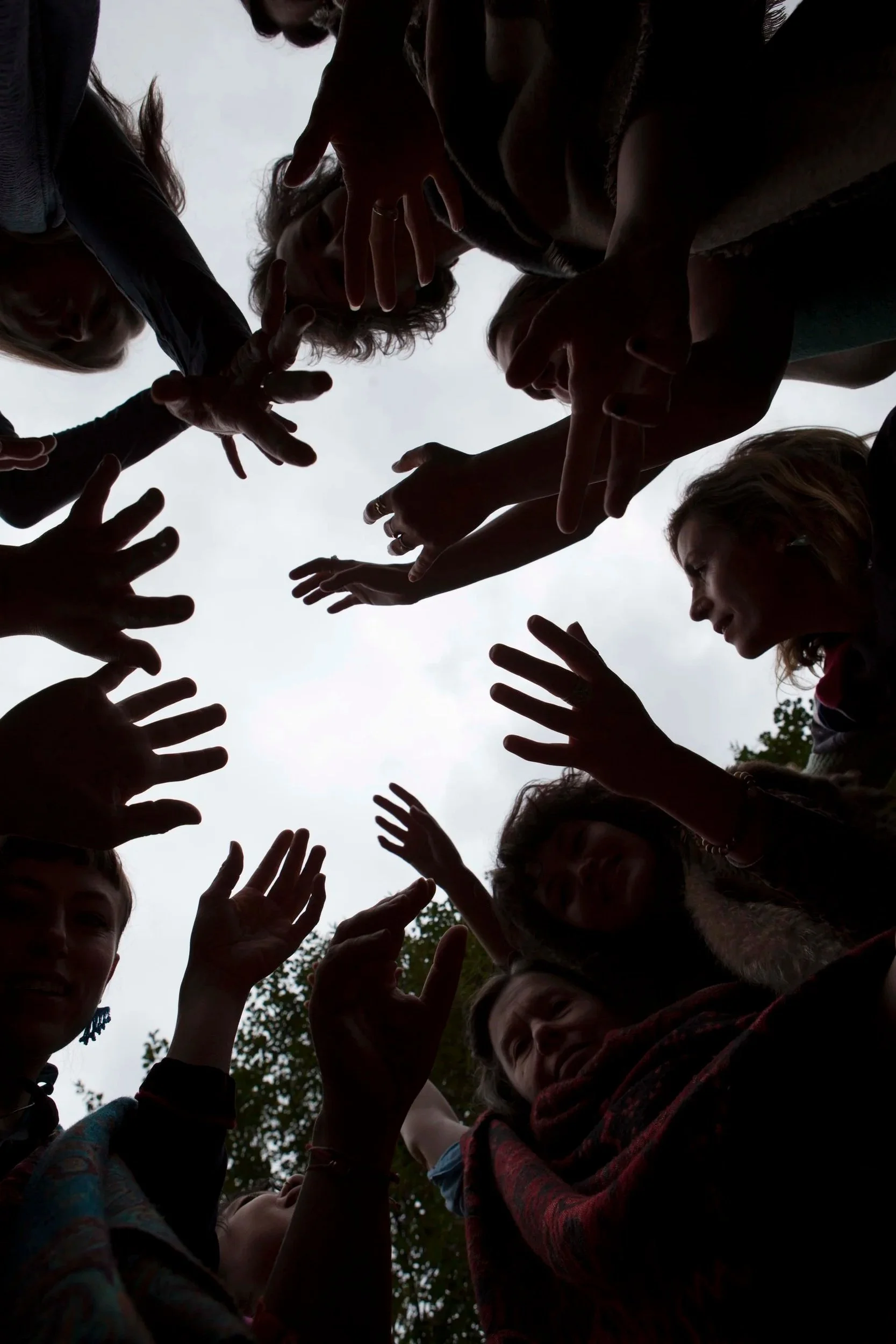Silhouettes of multiple people reaching upwards towards the sky with overcast clouds and trees in the background.