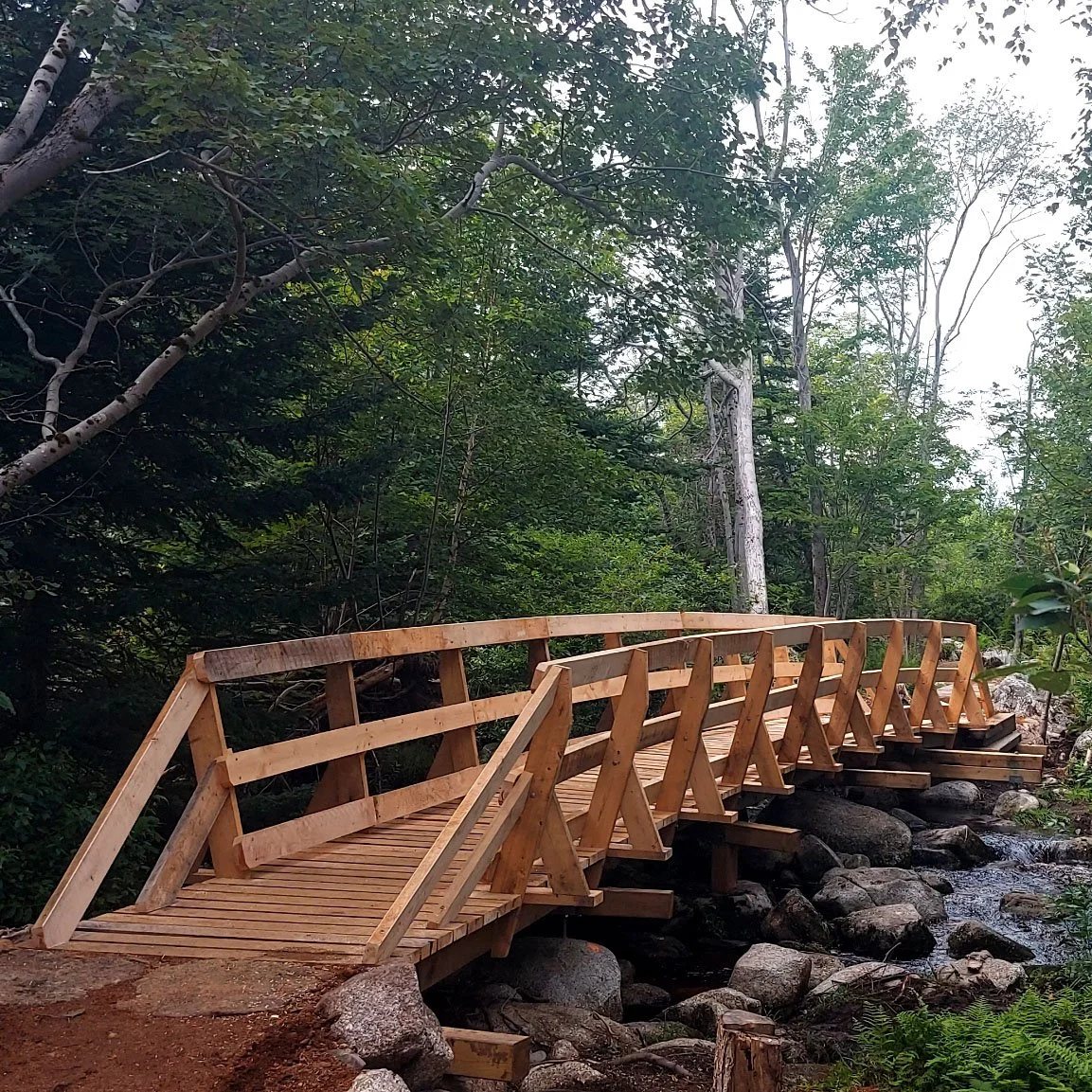Trail bridge for walkers and cyclists.