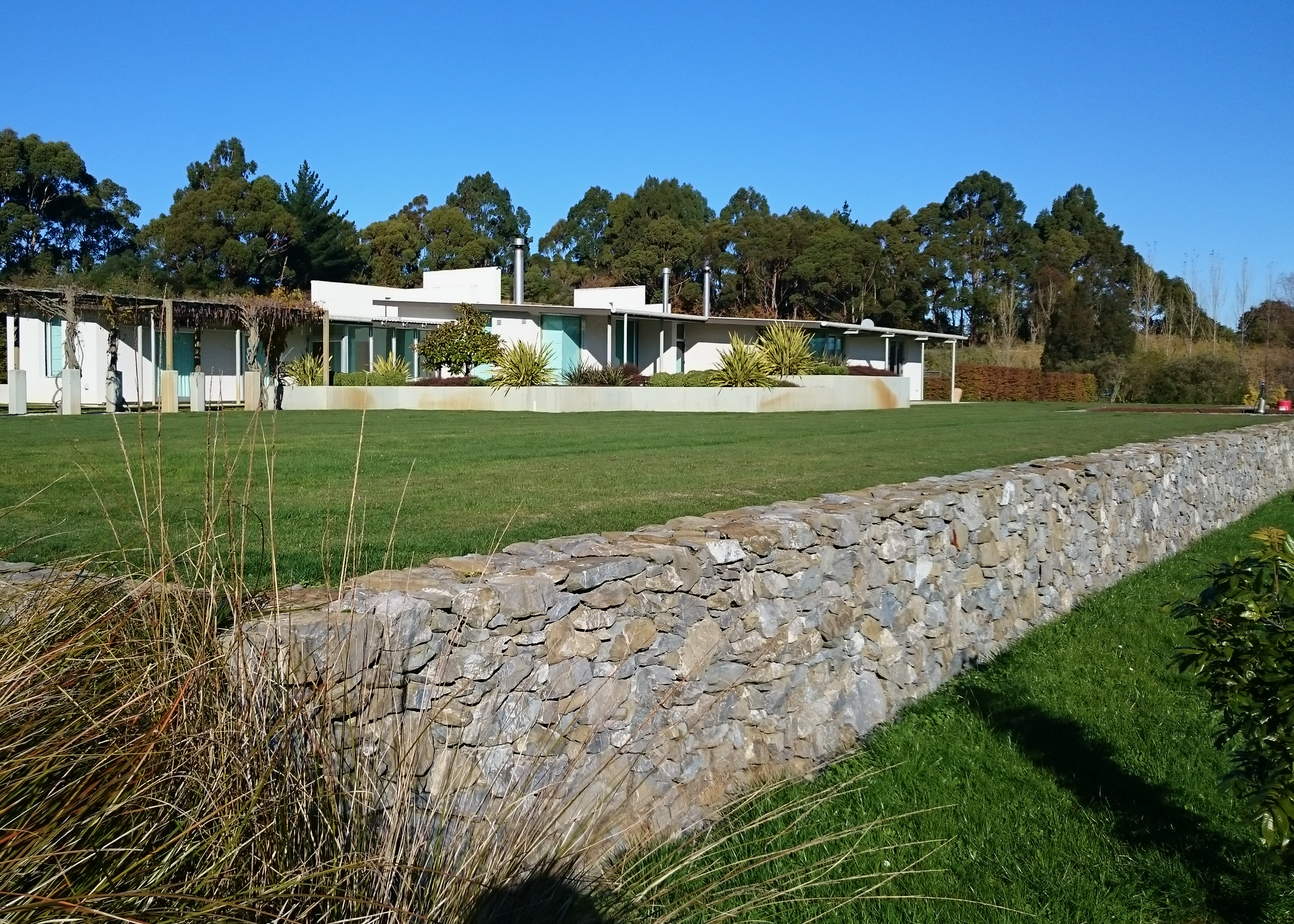 A modern single-story house with large windows, white walls, and a flat roof, surrounded by green lawn, plants, and trees under a clear blue sky.