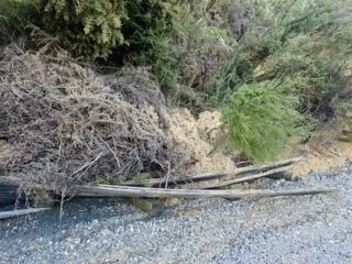 Broken bridge extending over a river with debris and trees in the background.