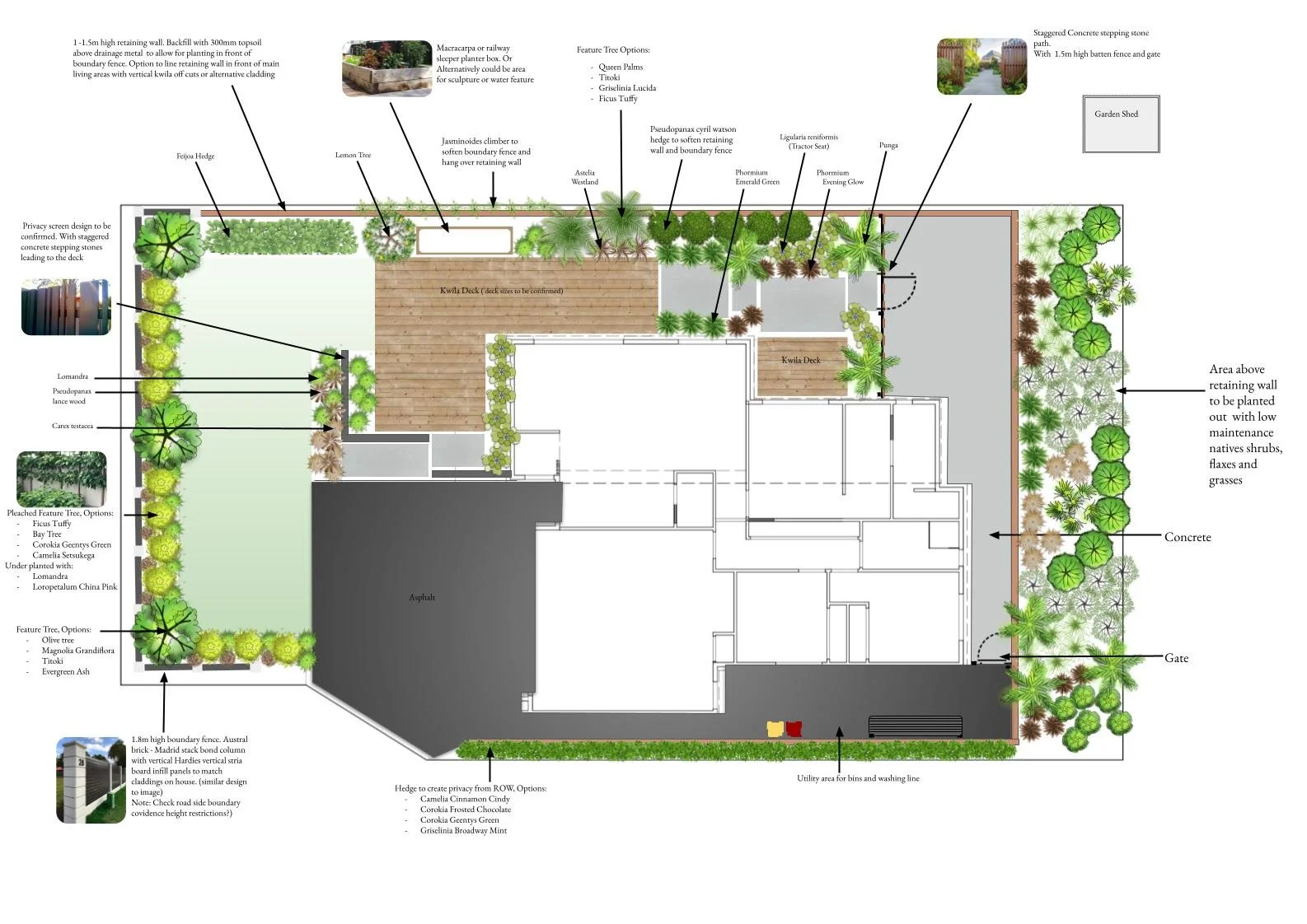 Landscape garden plan with labeled features including a privacy screen, trees, decking, concrete paths, a shed, and various plants, trees, and shrubs, along with annotations for materials and options.