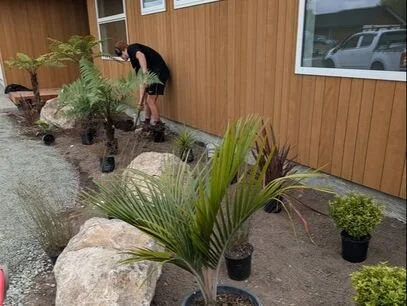 Person planting or tending to small plants in outdoor garden with large rocks and a wooden building in the background.