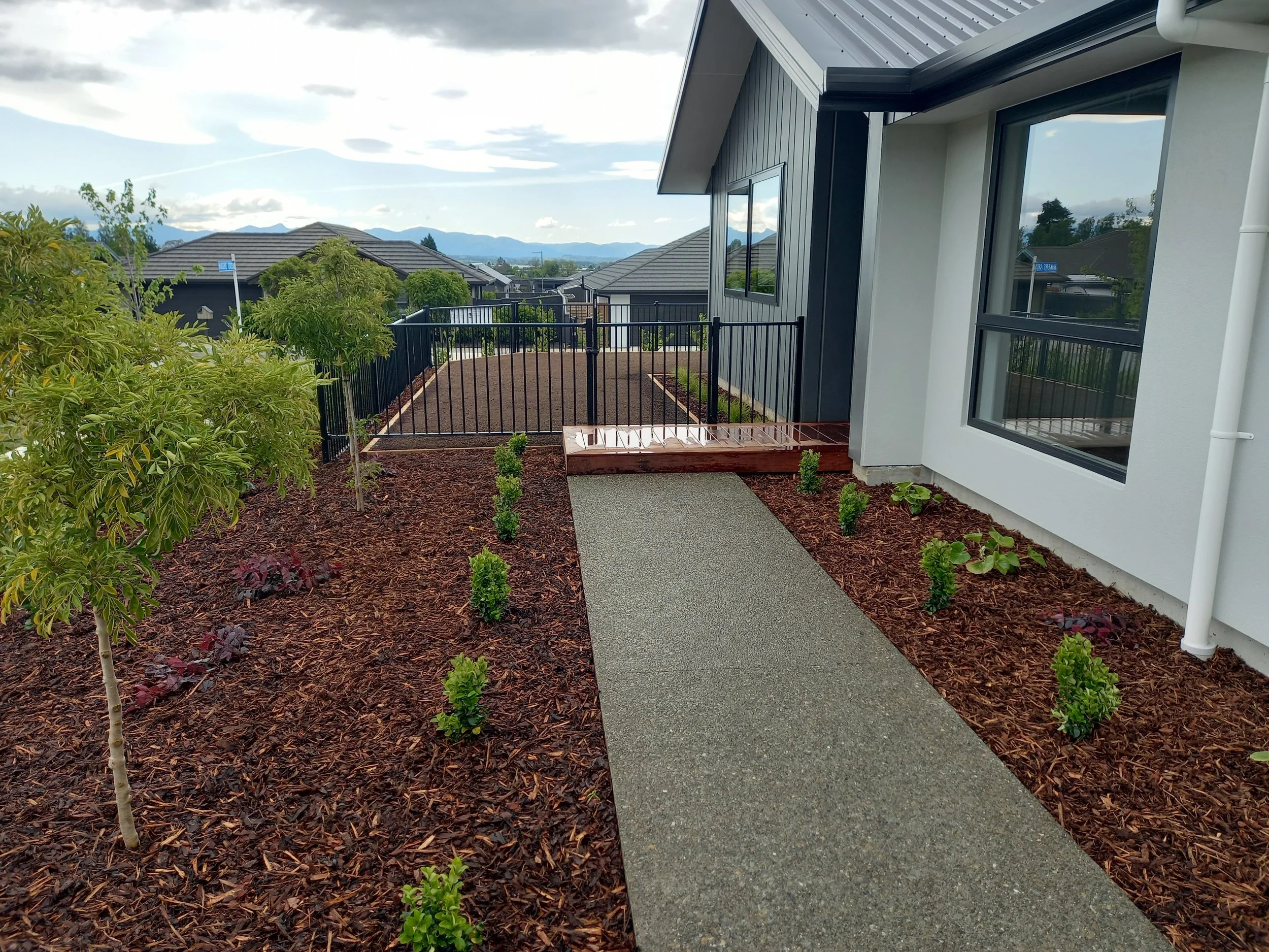 Backyard with newly landscaped yard, small trees, and young plants bordering a concrete pathway next to a modern house with large windows and black painted siding, distant mountains and cloudy sky.