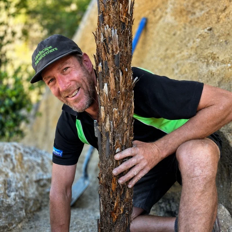 A man crouching behind a small tree with peeling bark, outdoors on a sandy surface with rocks and greenery in the background, wearing a black cap and a black and green shirt.