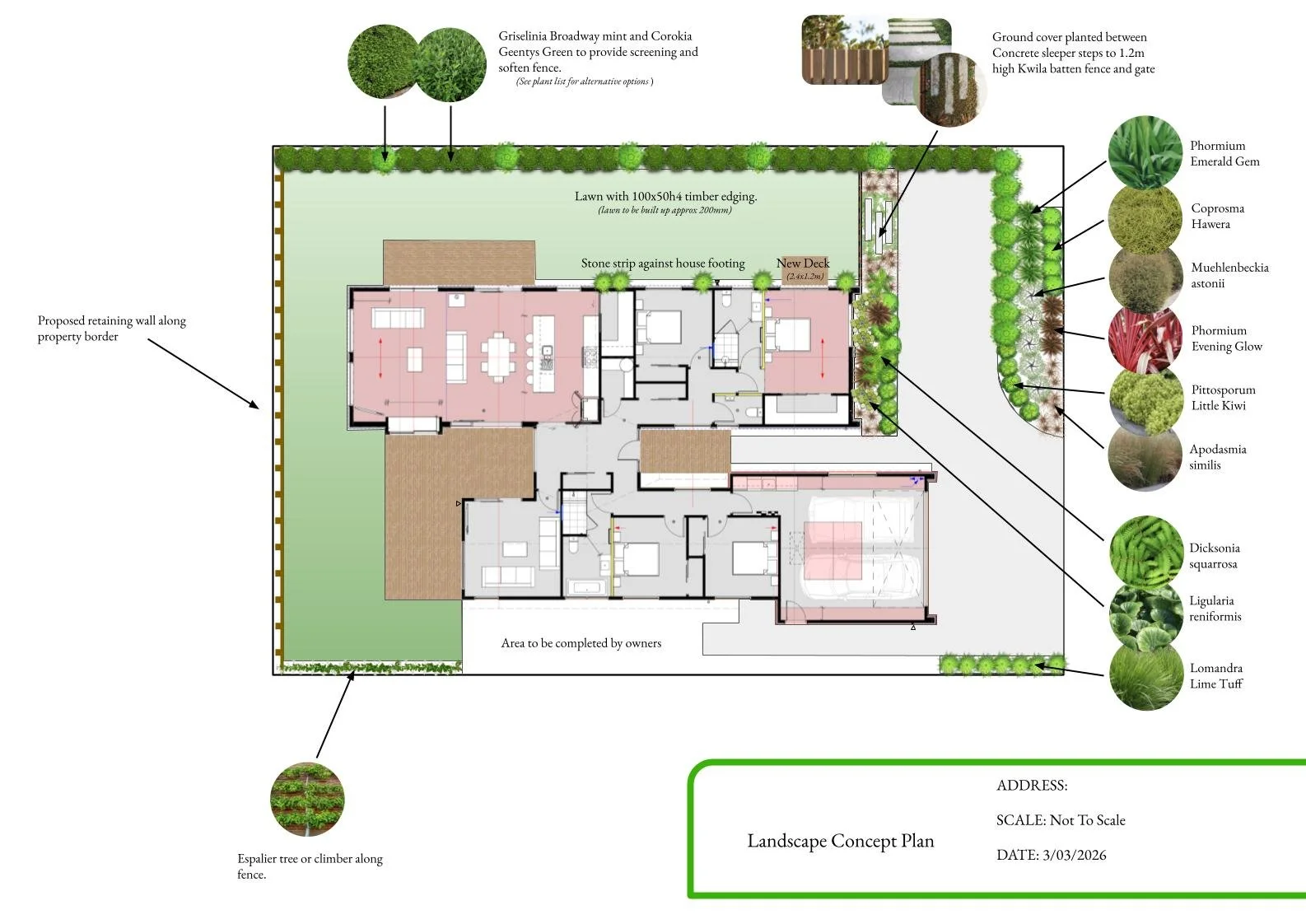 Landscape concept plan for a property showing a house, garden areas, and various plants, with labels for different sections including lawn, decking, pathways, and specific plant species.