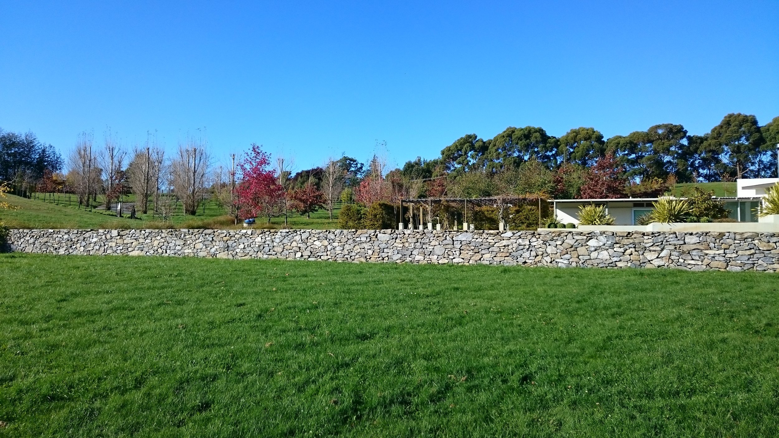 Copy of DSC_0037.JPG