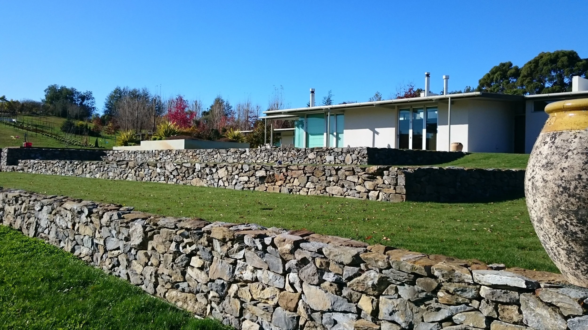 Copy of DSC_0043.JPG