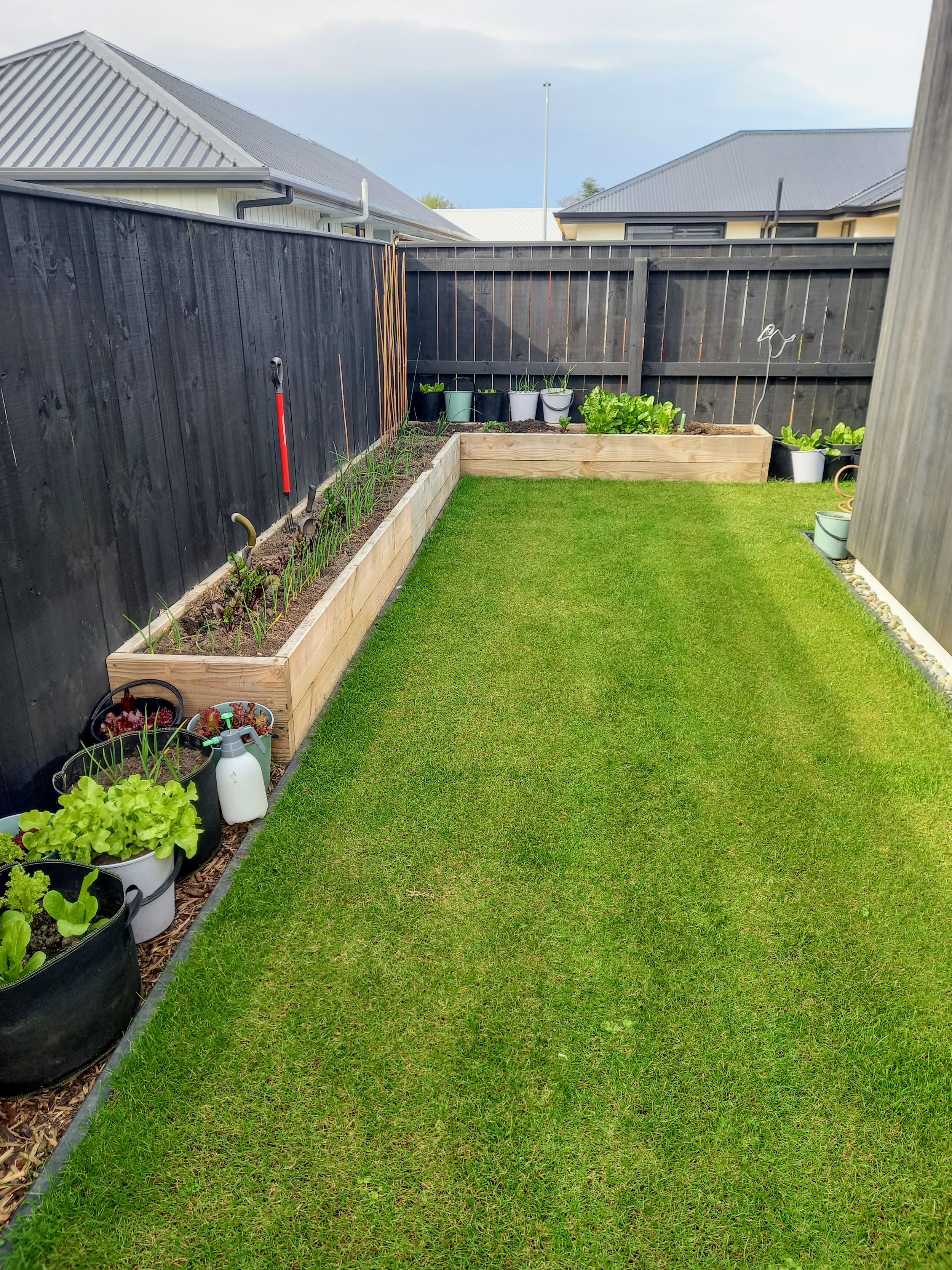 A small backyard garden with a grassy lawn, raised garden beds with various plants, and a black wooden fence surrounding the yard.