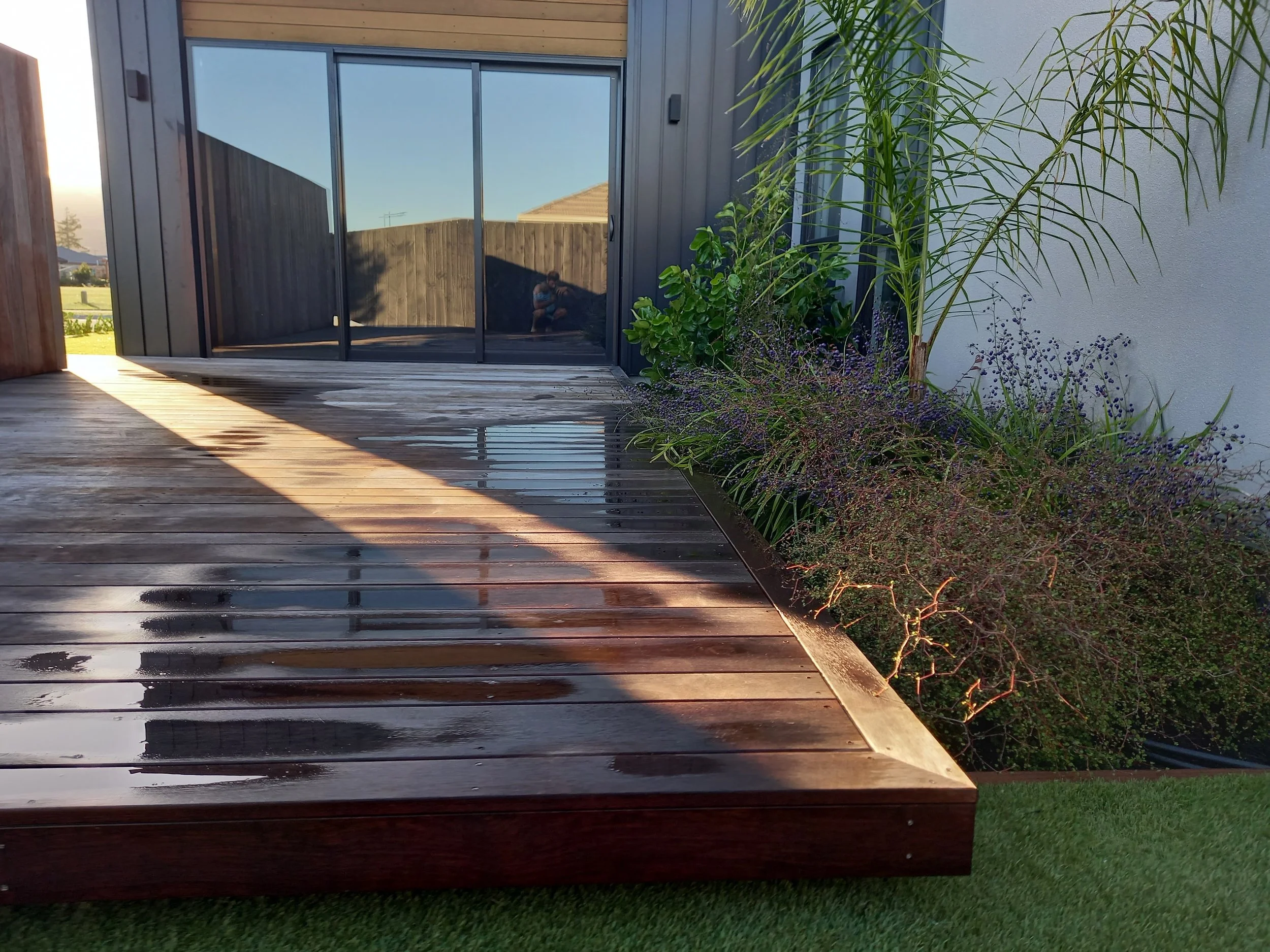 A wooden deck with wet surface next to a garden with various green plants, a white wall, and a house with large sliding glass doors reflecting the sky.