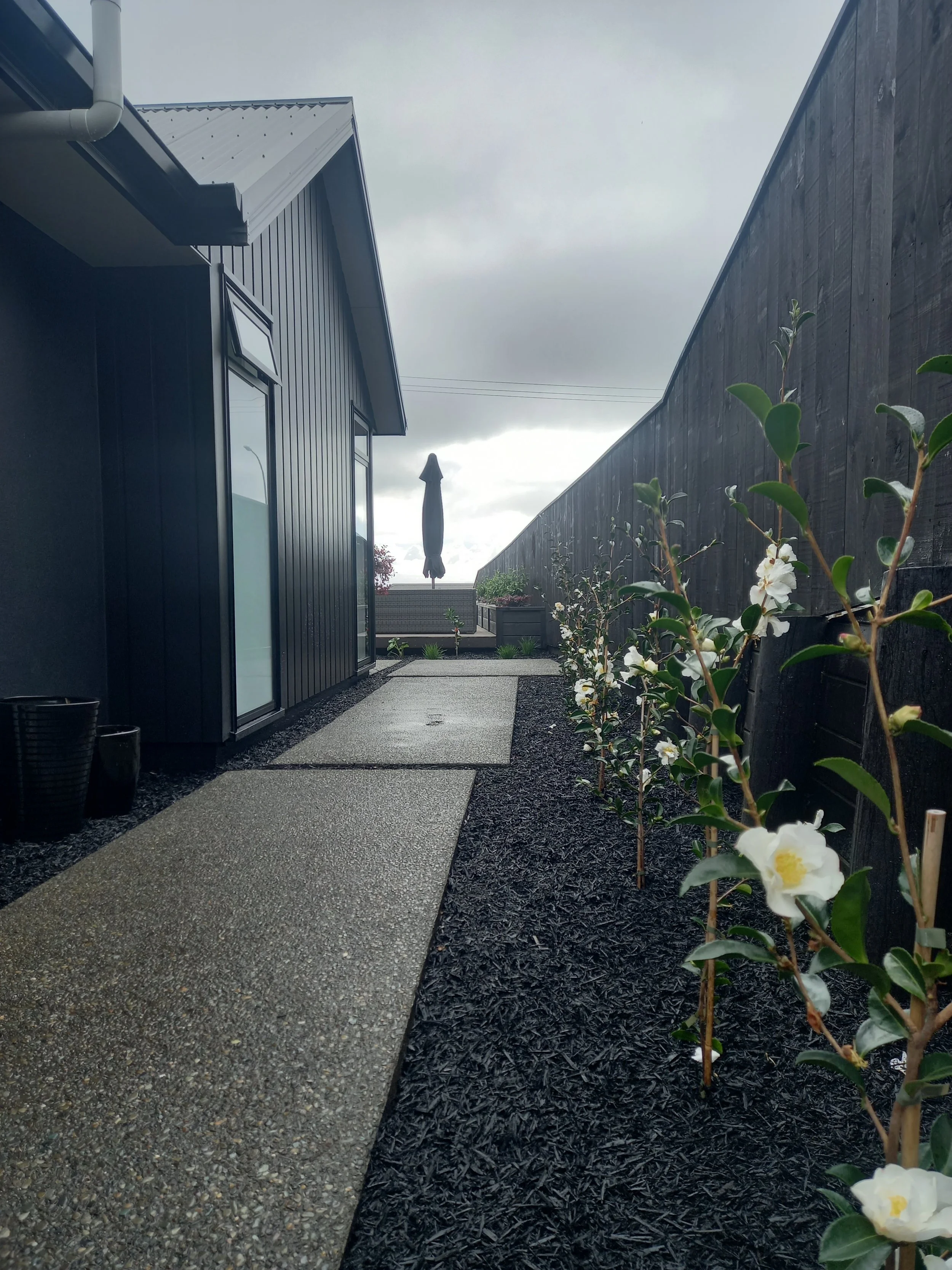 A narrow outdoor pathway bordered by black mulch and blooming white flowers with green leaves on the right side, with a house and a closed patio umbrella in the background under an overcast sky.