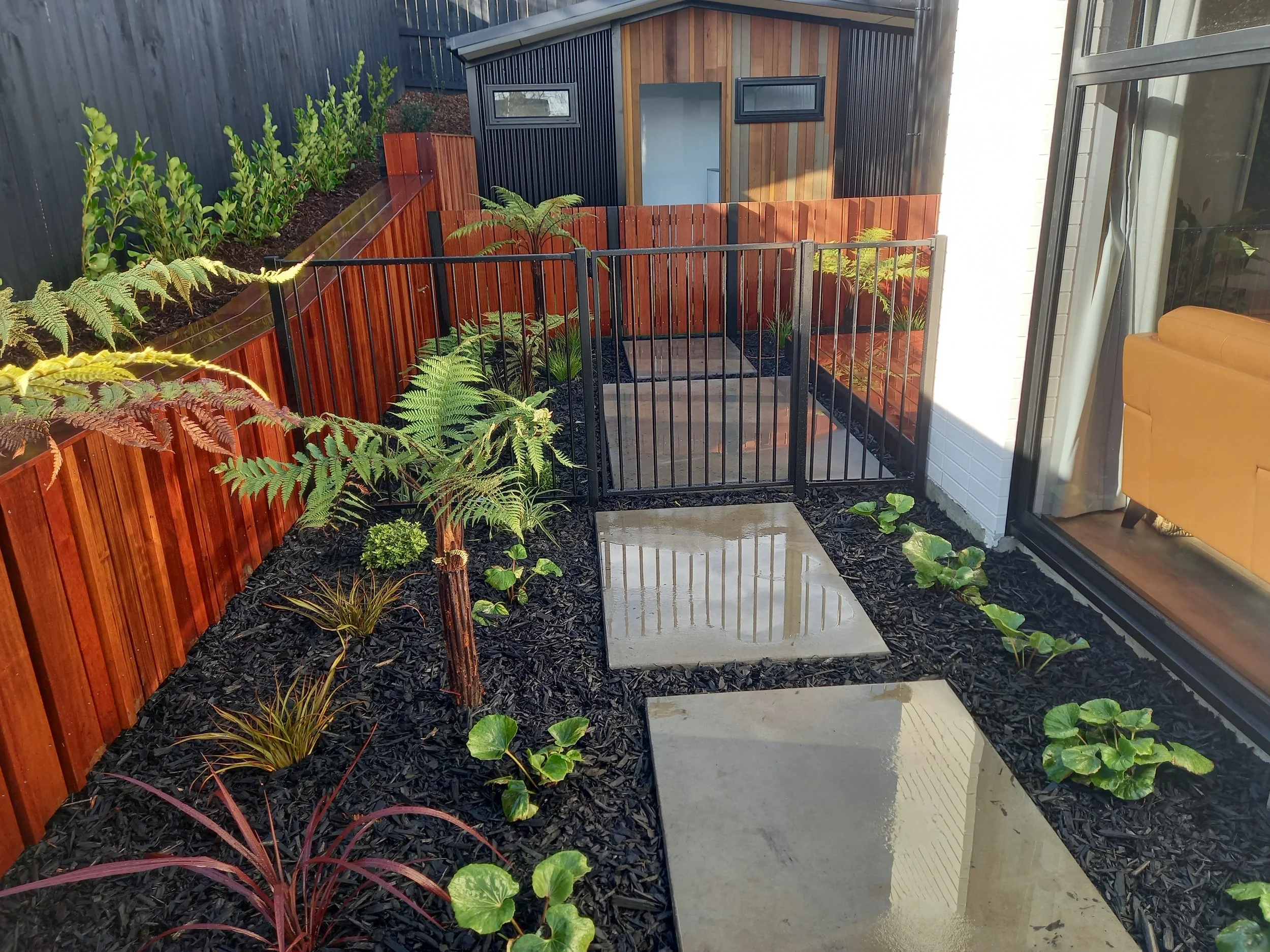 A backyard garden with a black metal fence, a wooden fence with plants, a small structure with wooden and black metal siding, and lush green plants including ferns and other foliage, all illuminated by natural sunlight.