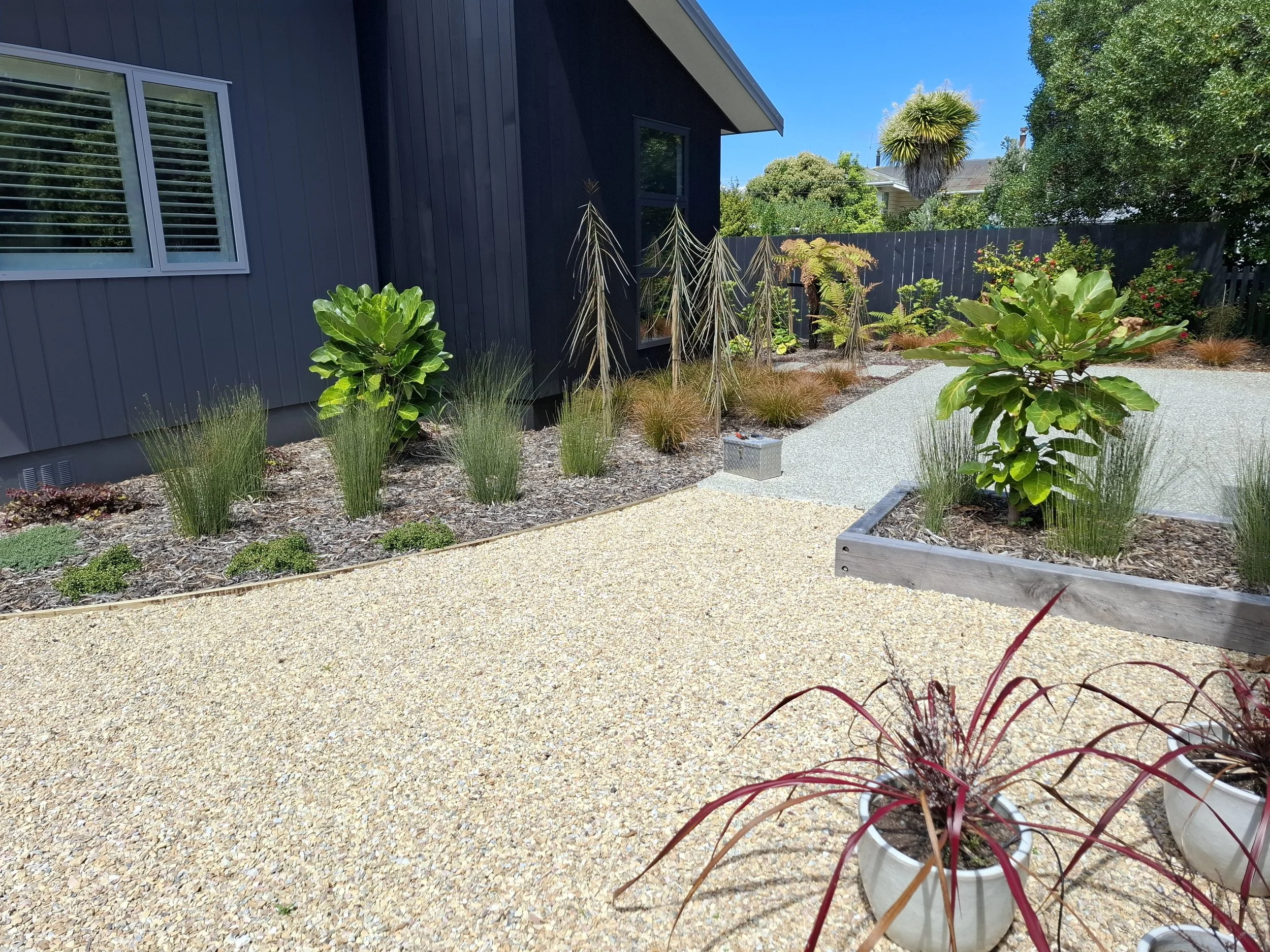 A backyard garden area with a gravel pathway, various green plants, and trees, next to a modern house with black exterior siding and windows with white frames, under a clear blue sky.
