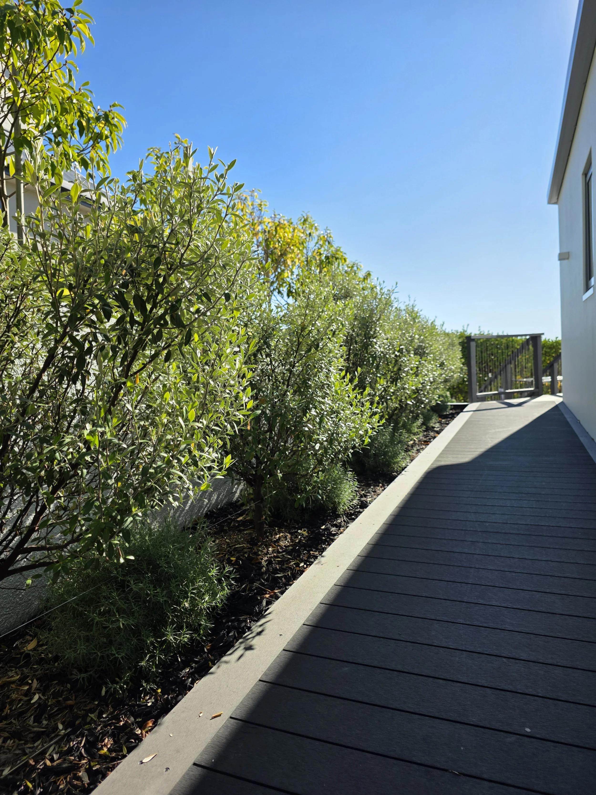 A wooden deck walkway along the side of a house with green bushes and trees on one side and a white house with a window on the other, under a clear blue sky.