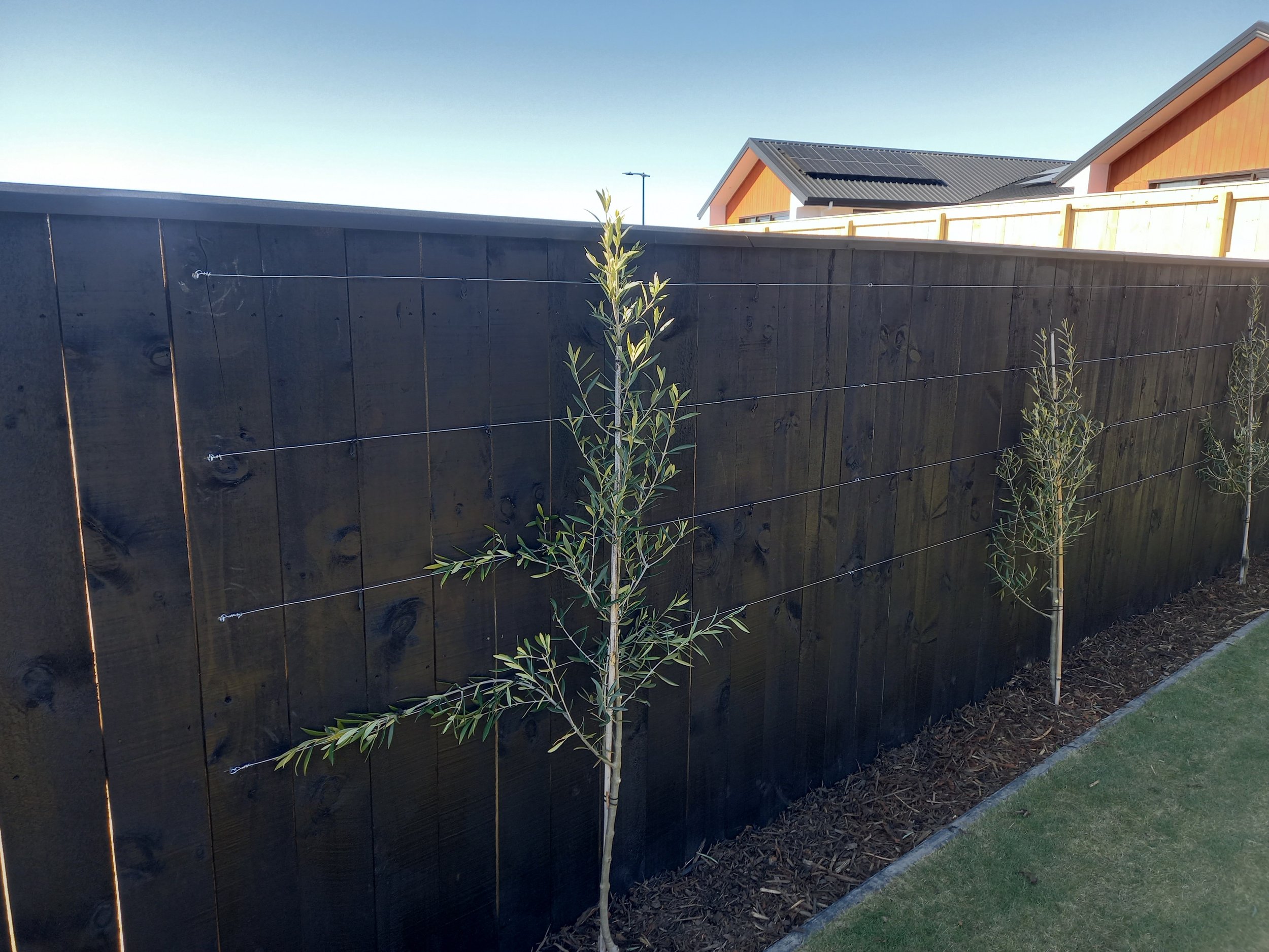 A black wooden fence with plants growing in front of it, and houses with metal roofs in the background under a clear sky.