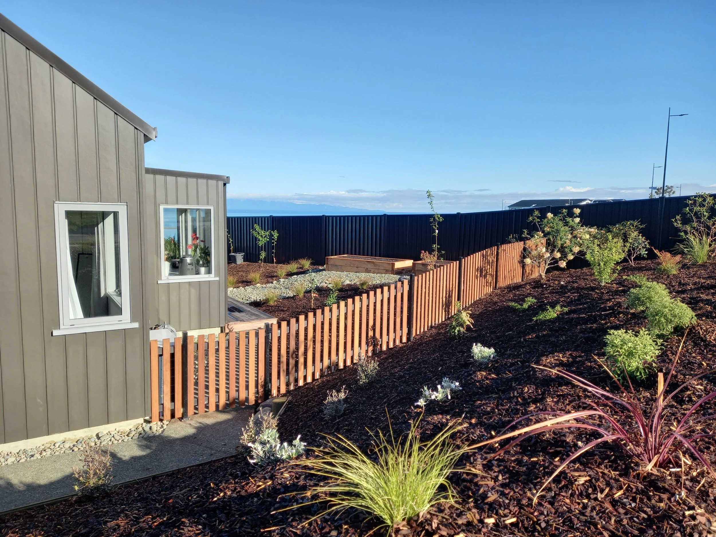 A backyard garden with young plants, a wooden fence, a house with gray siding, and a clear blue sky in the background.