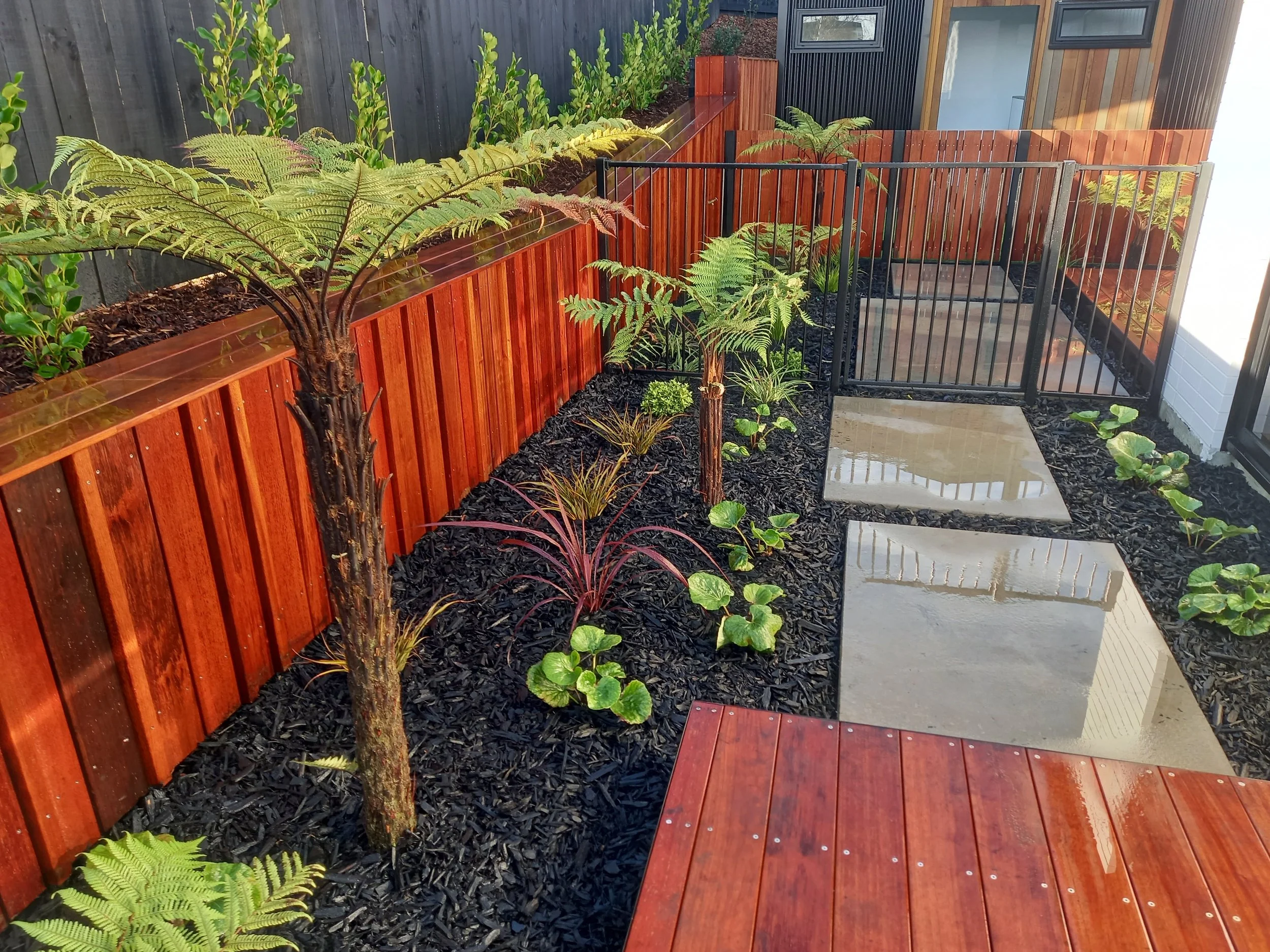 A modern backyard garden with hand-laid concrete stepping stones, cedar wood fencing, and lush green plants including ferns and shrubs, creating a cozy outdoor space.