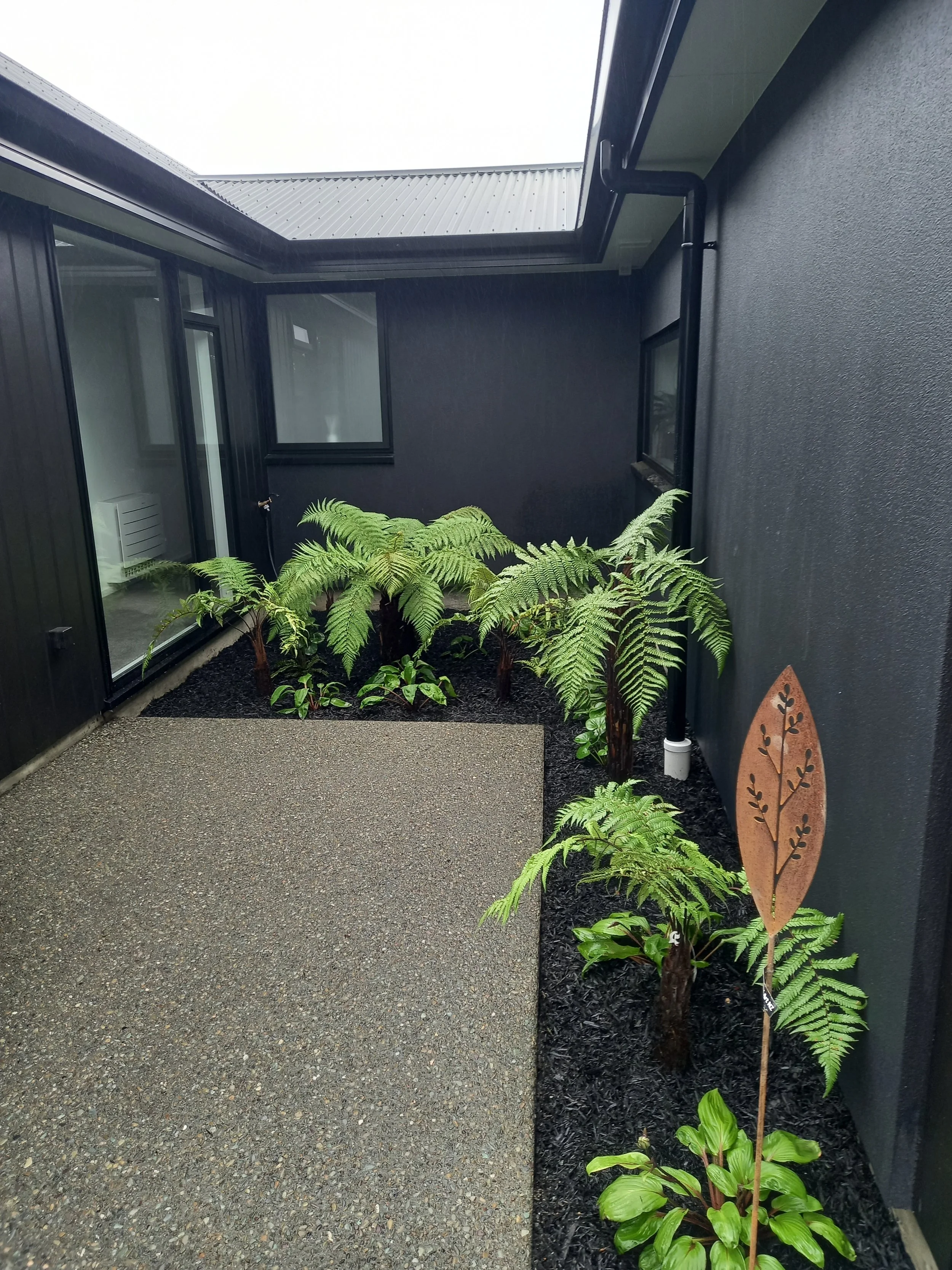A small outdoor garden space with green ferns and broad-leafed plants along a black mulch bed on a concrete patio, fenced by a dark building wall with large windows and a sign with a leaf silhouette.