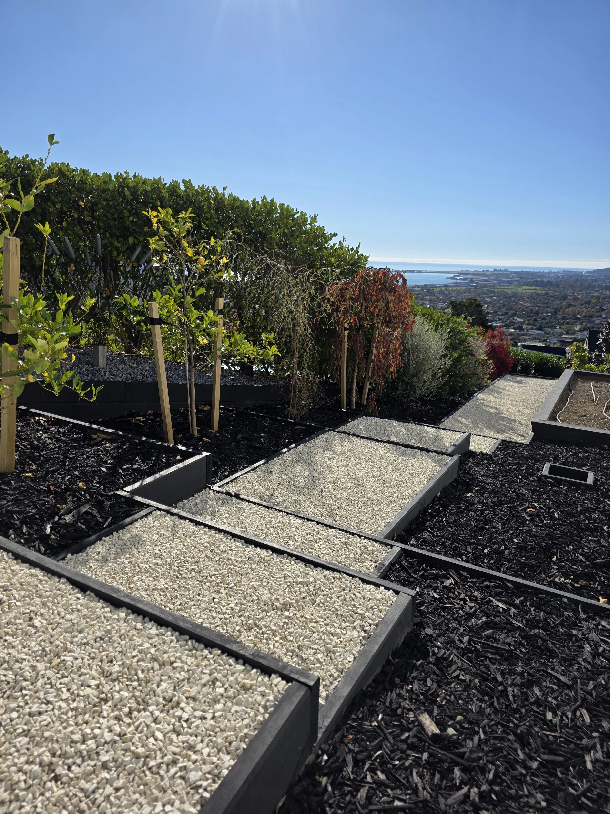 A garden with vegetable beds filled with gravel, surrounded by black mulch and green bushes, overlooking a cityscape and body of water under a clear blue sky.