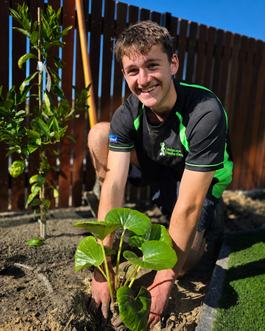 Young man planting a green leafy plant in the soil in a backyard garden, smiling at the camera.