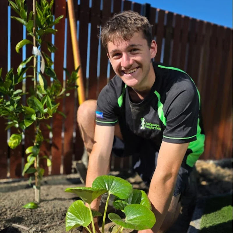 A young man with curly brown hair smiling while kneeling in a garden, planting or tending to green plants, with a wooden fence and tools in the background.