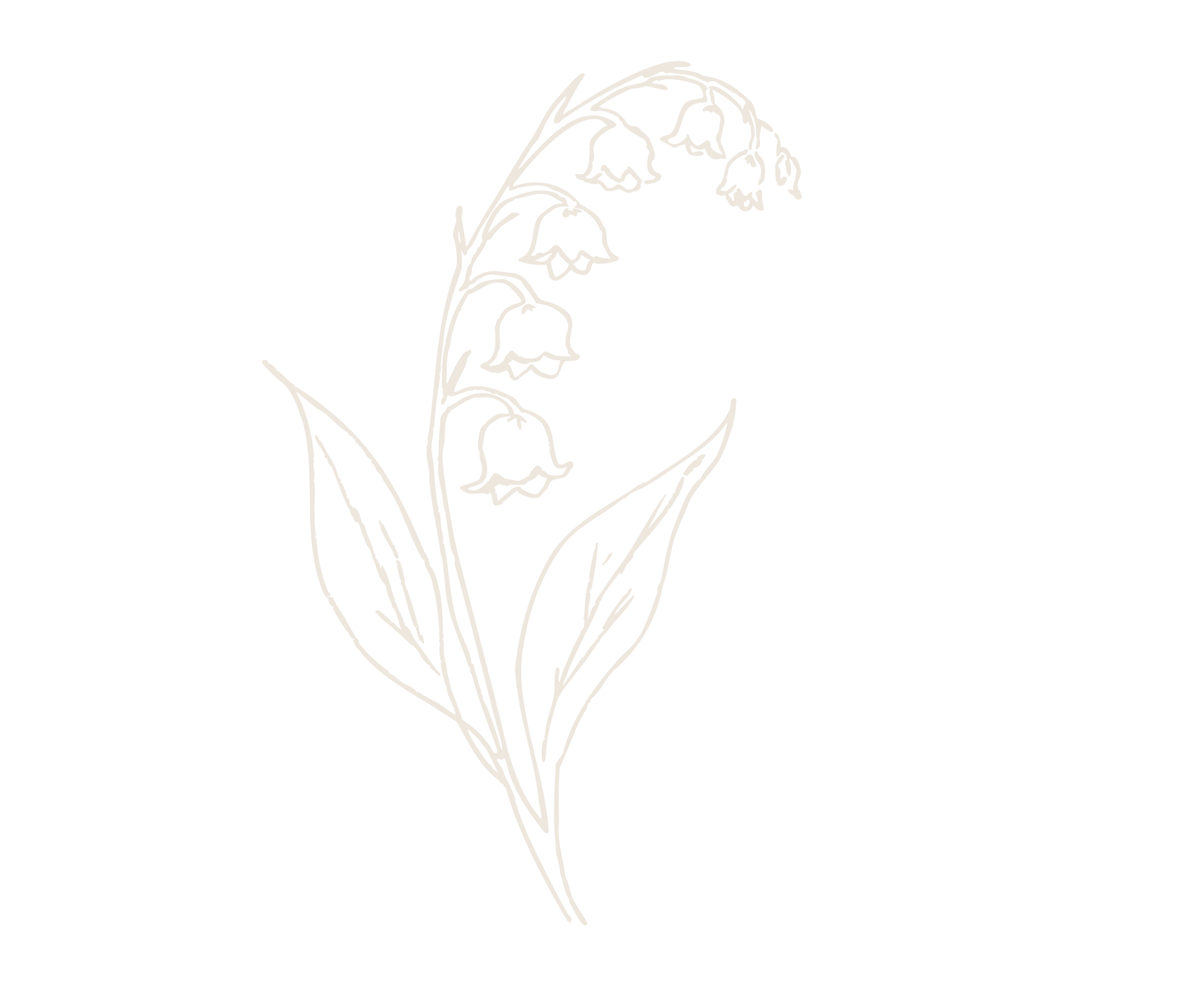 Line drawing of a lily of the valley flower with two leaves, white on black background.