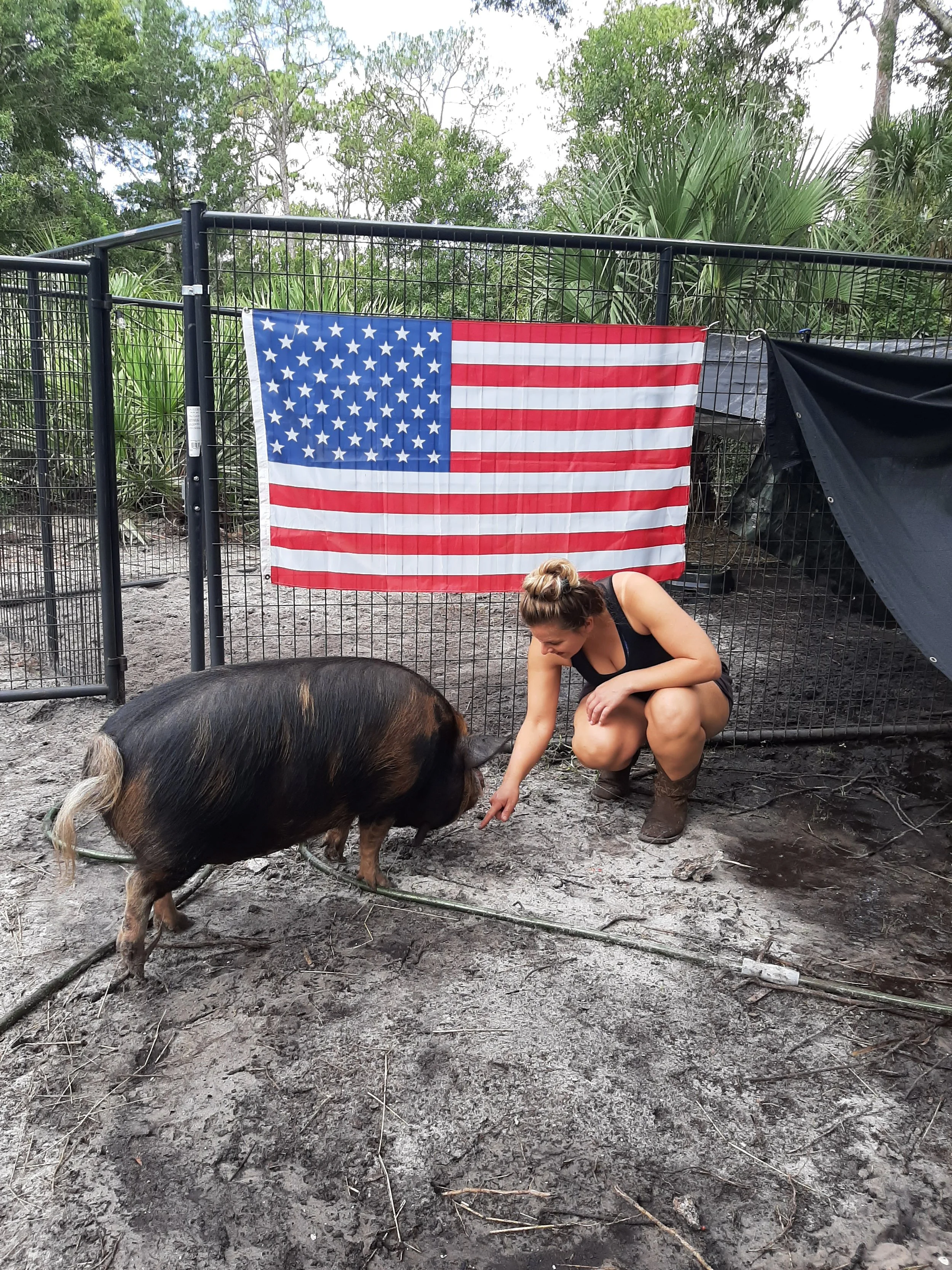 VIRTUAL: Wellness and Homestead Coaching