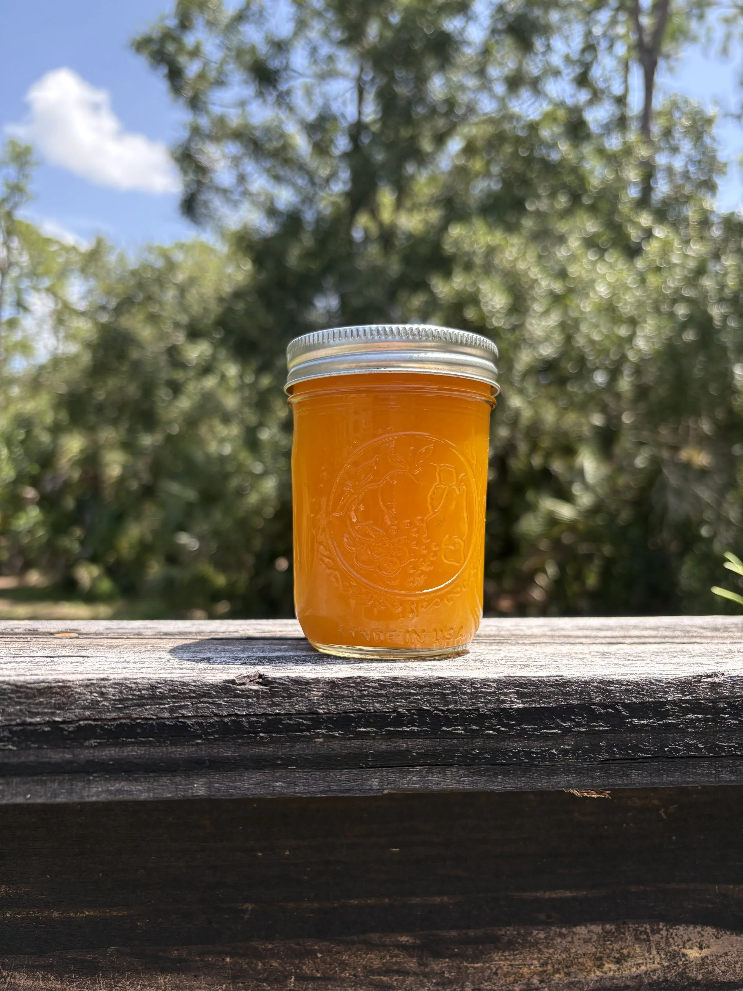 Florida Mango Jam