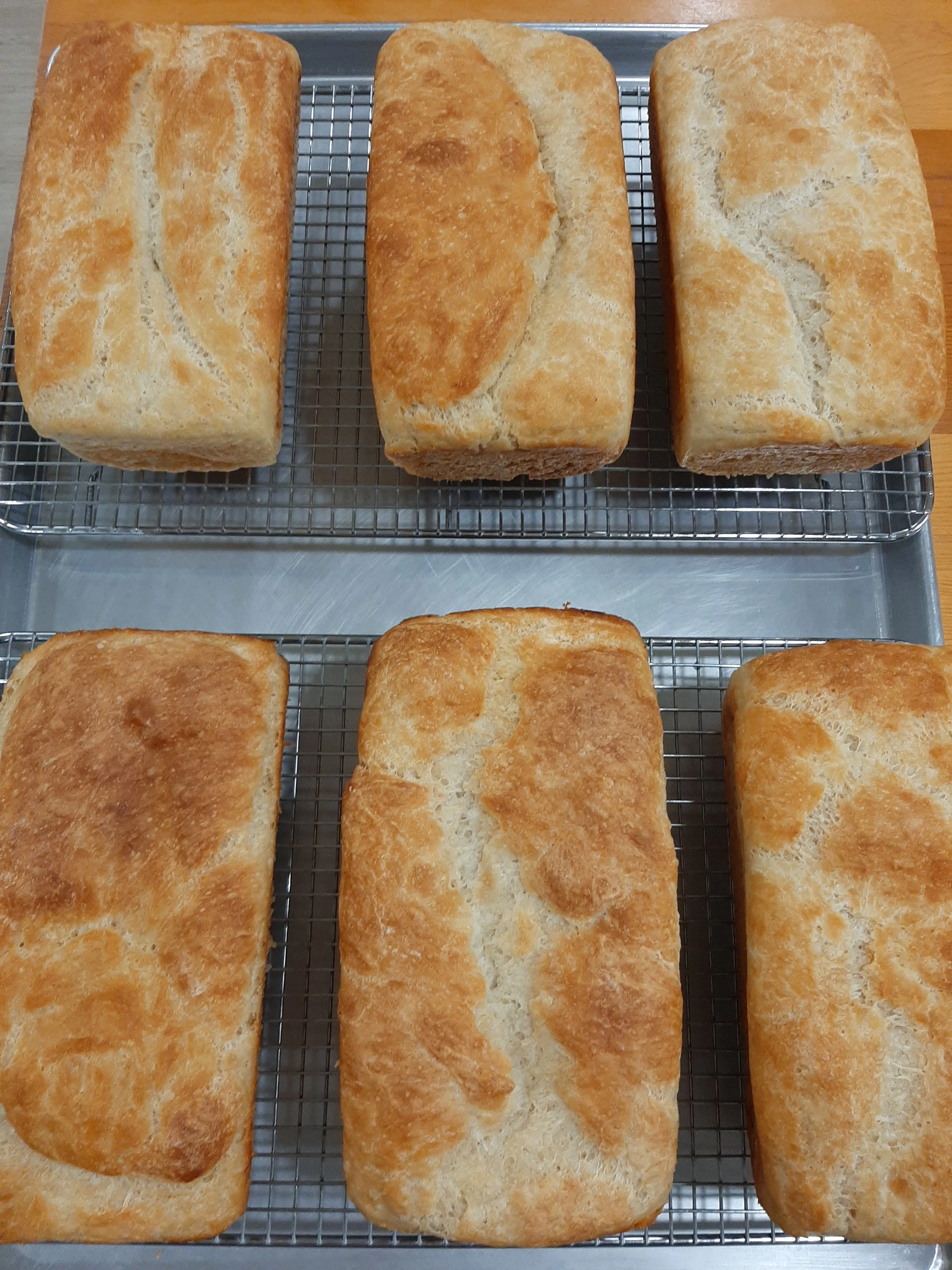 20251212_204639 (1).jpg (Copy)