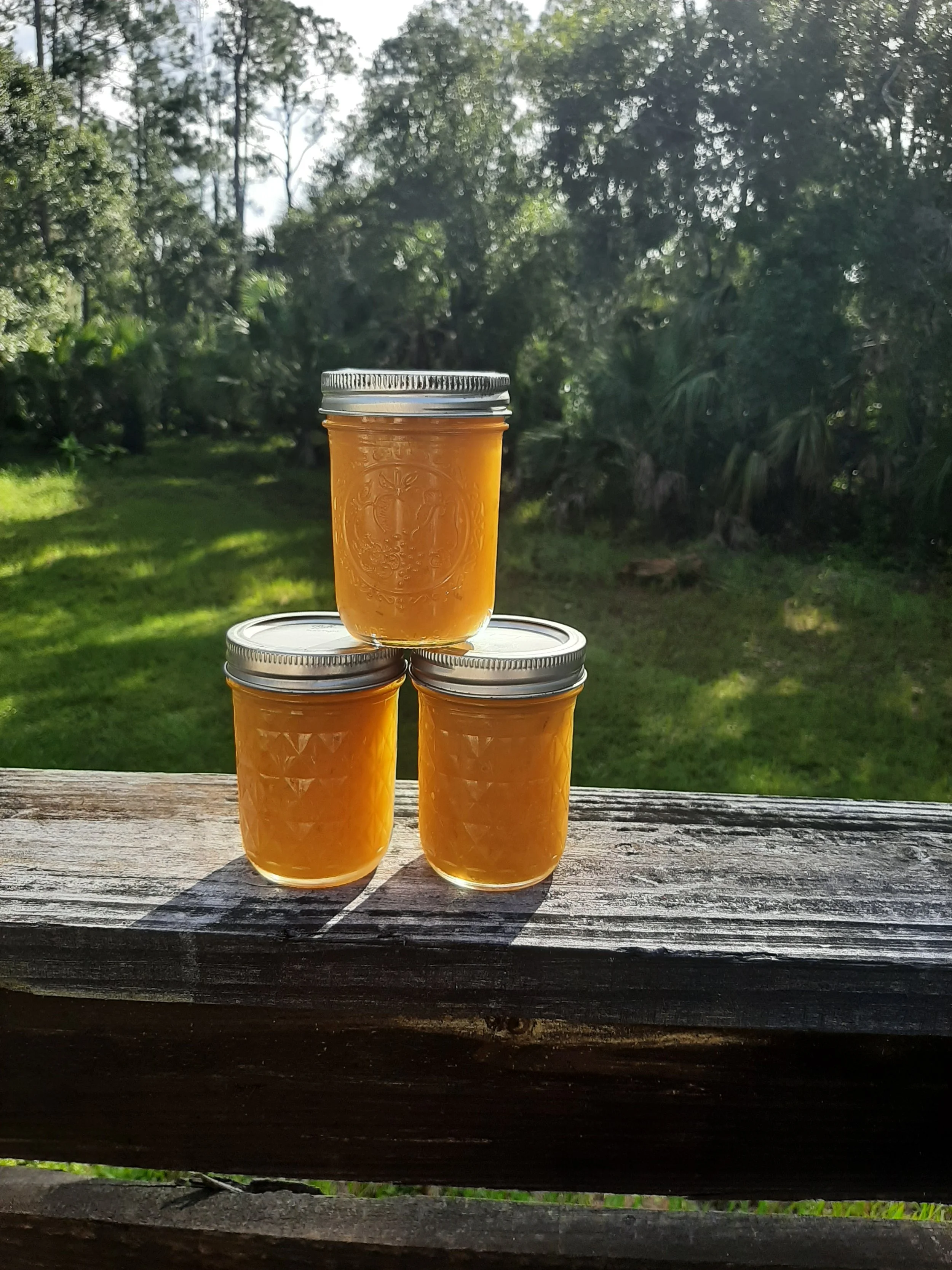 Canning Basics: Jams & Preserves